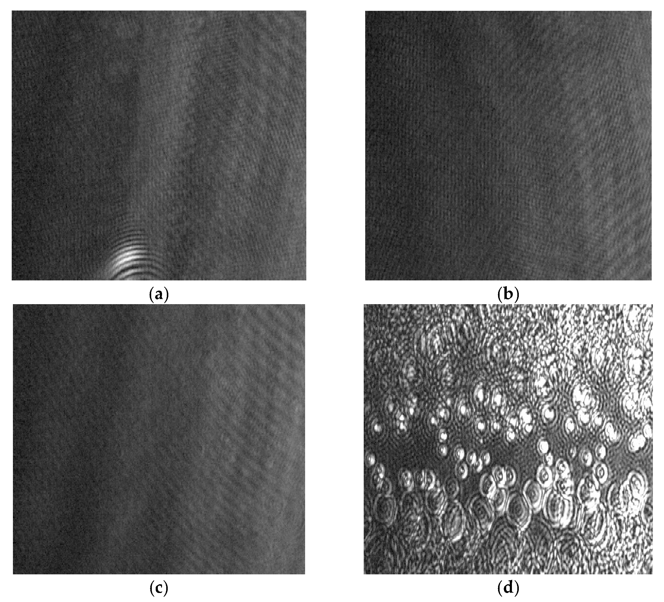 Polymers 14 00285 g012