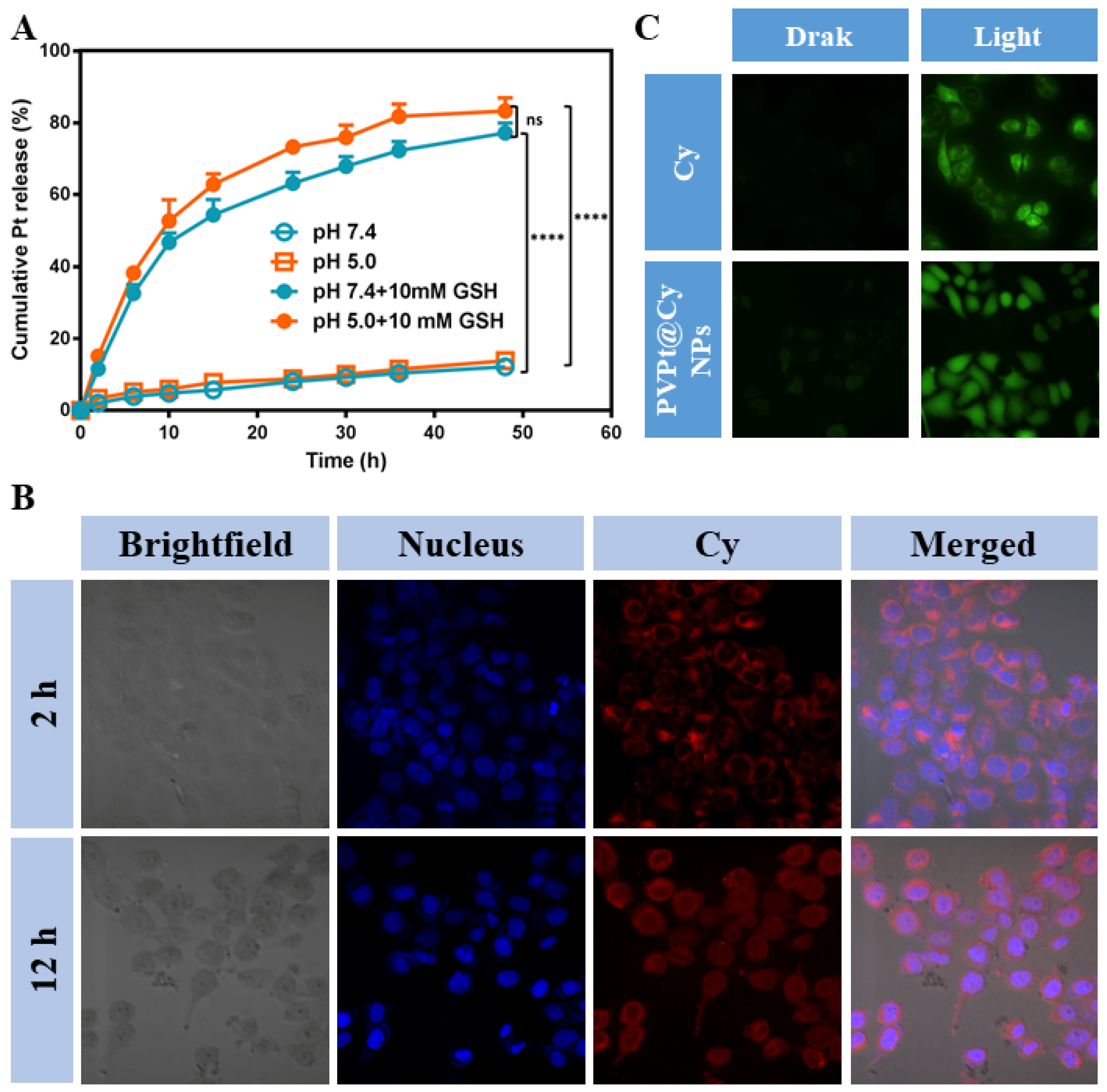 Polymers 14 00287 g005