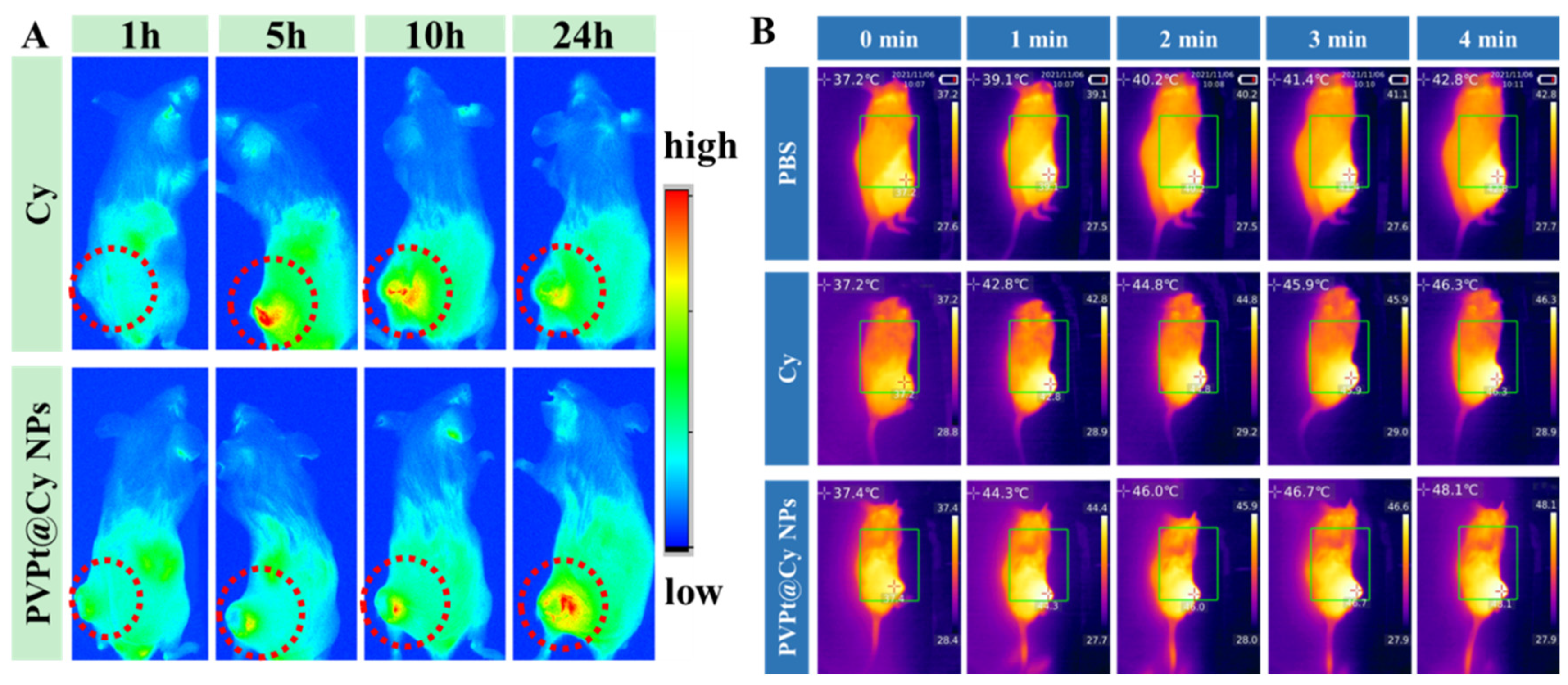 Polymers 14 00287 g007