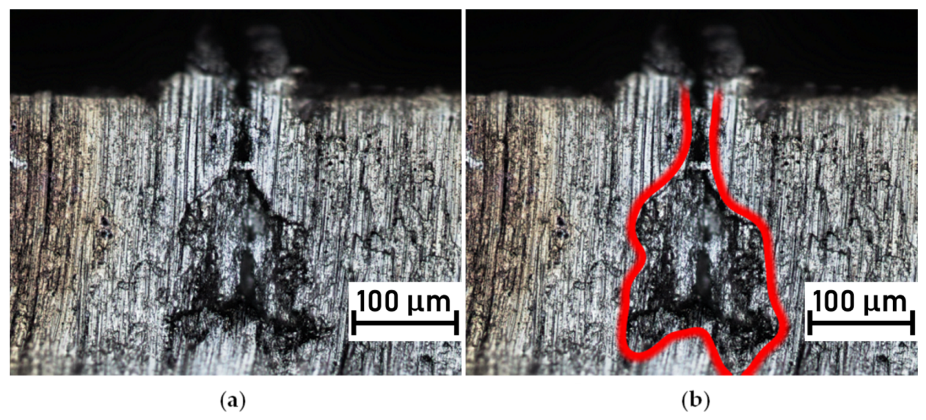 Polymers 14 00288 g006