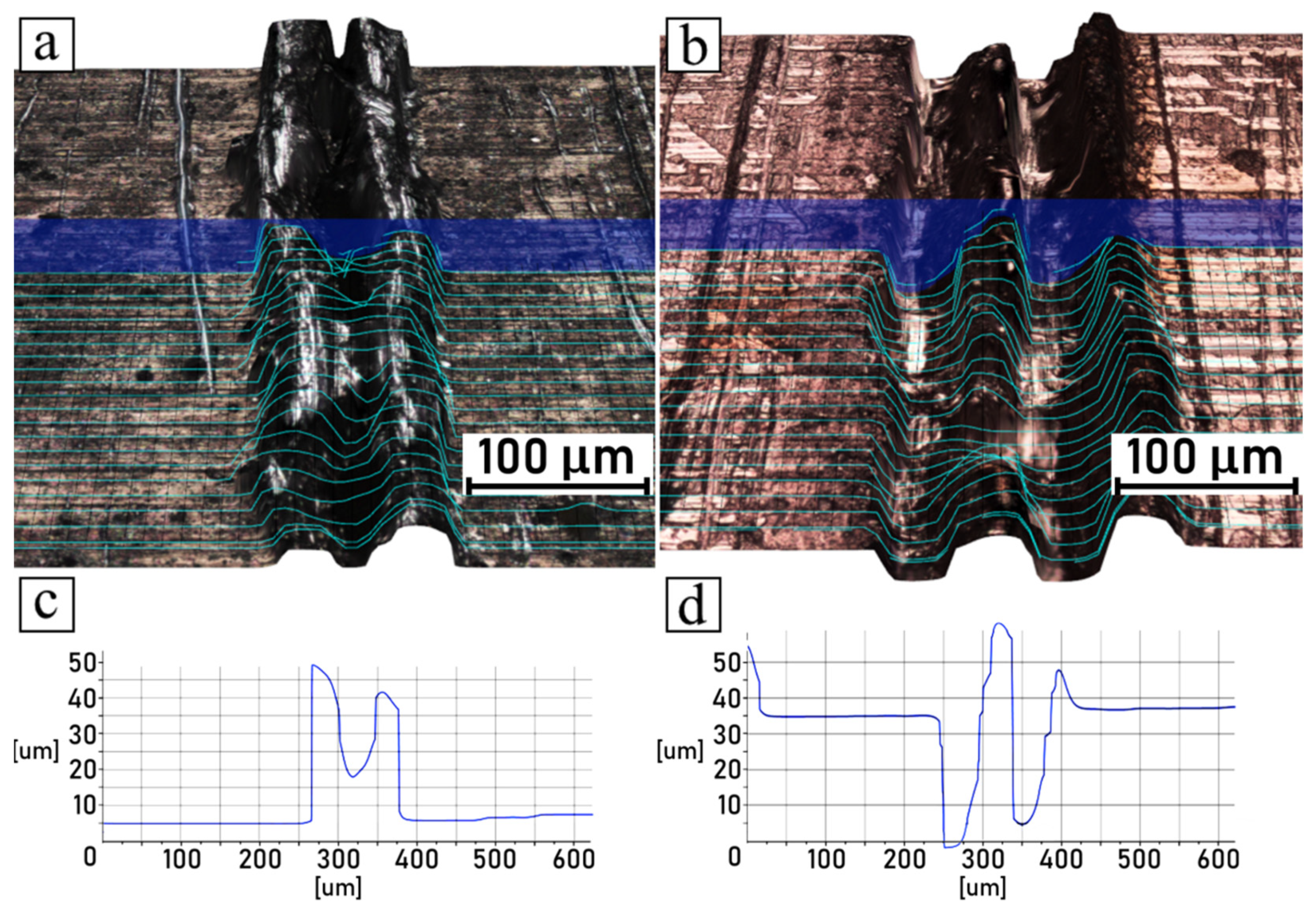 Polymers 14 00288 g011