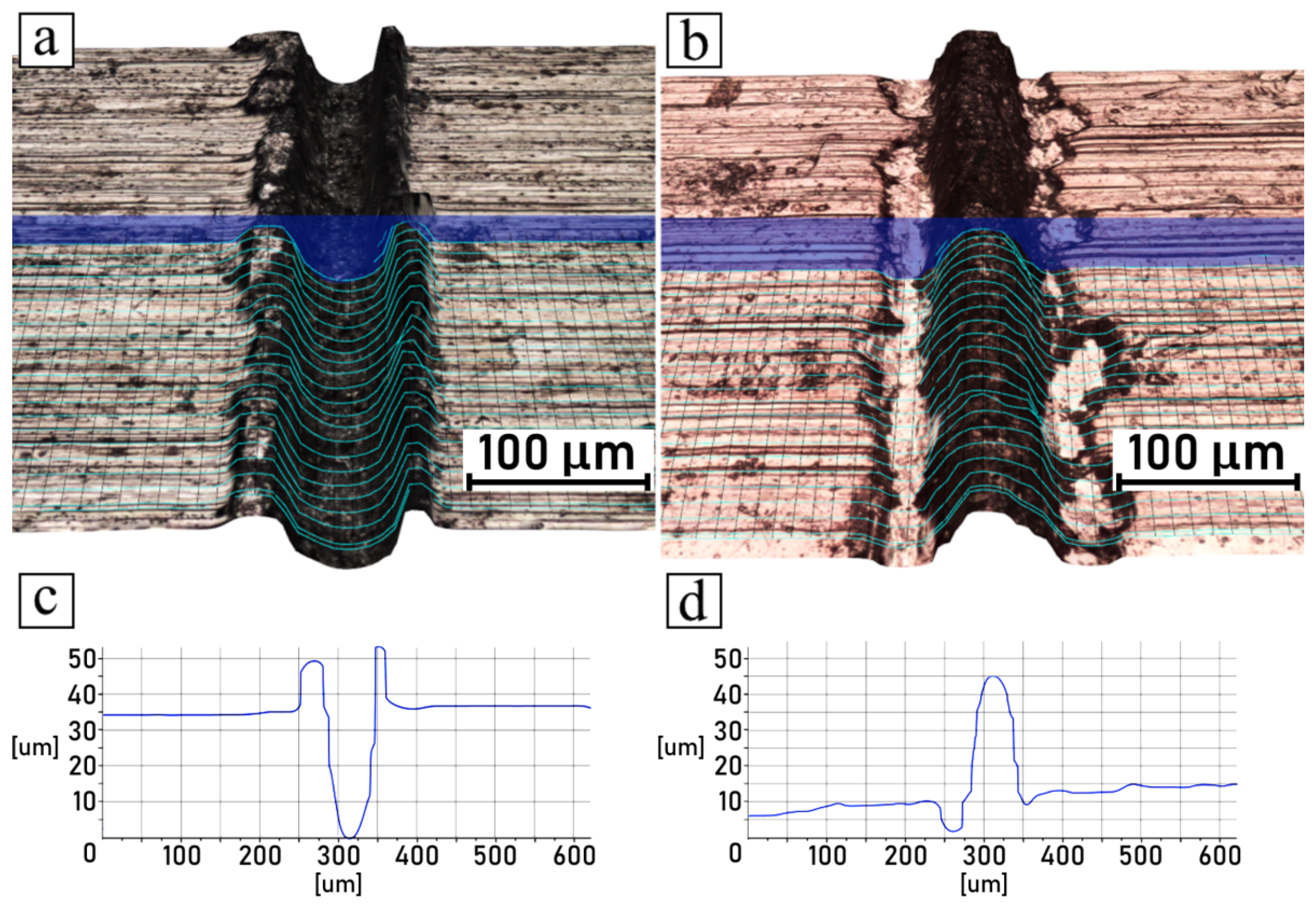 Polymers 14 00288 g012