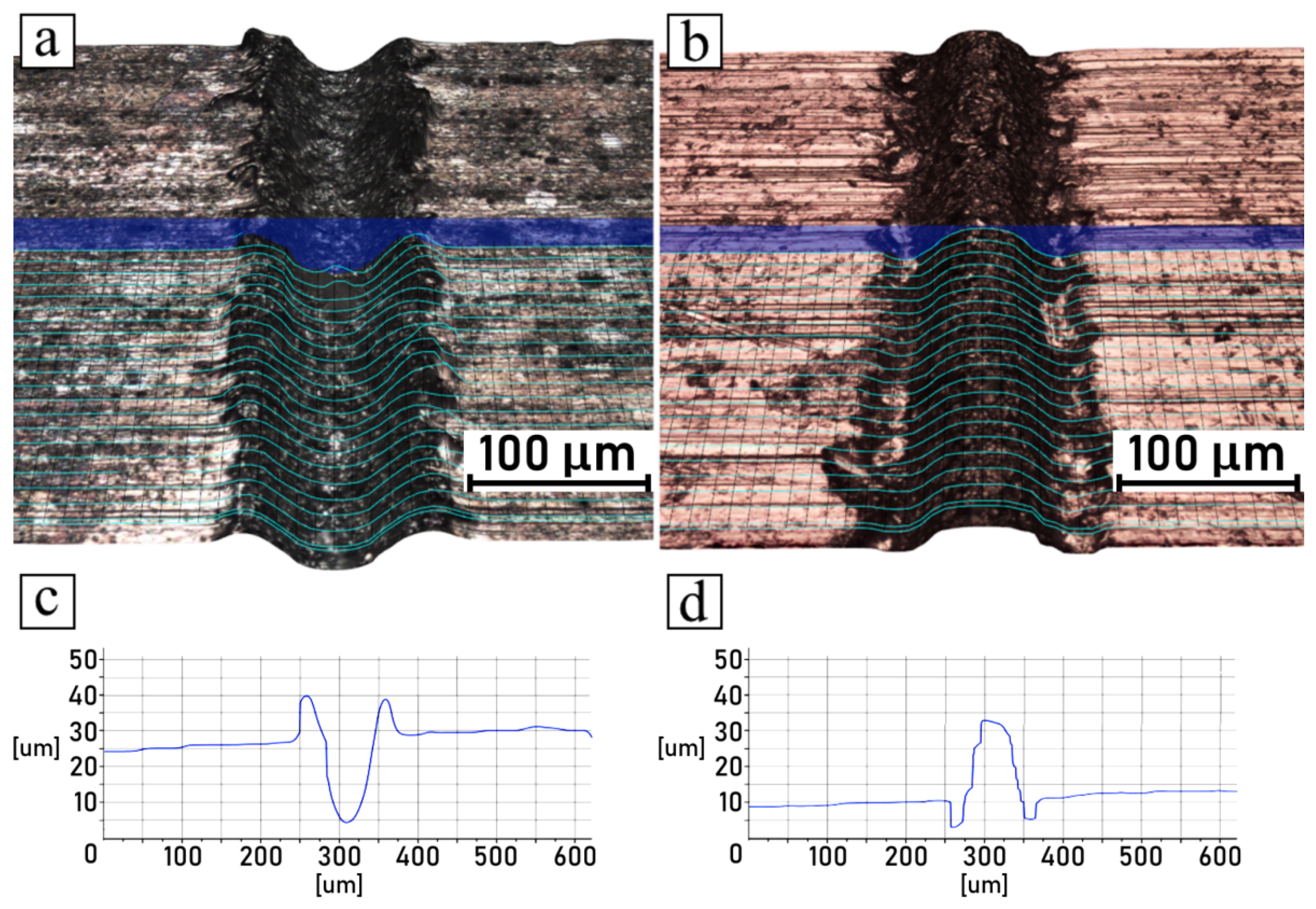 Polymers 14 00288 g013