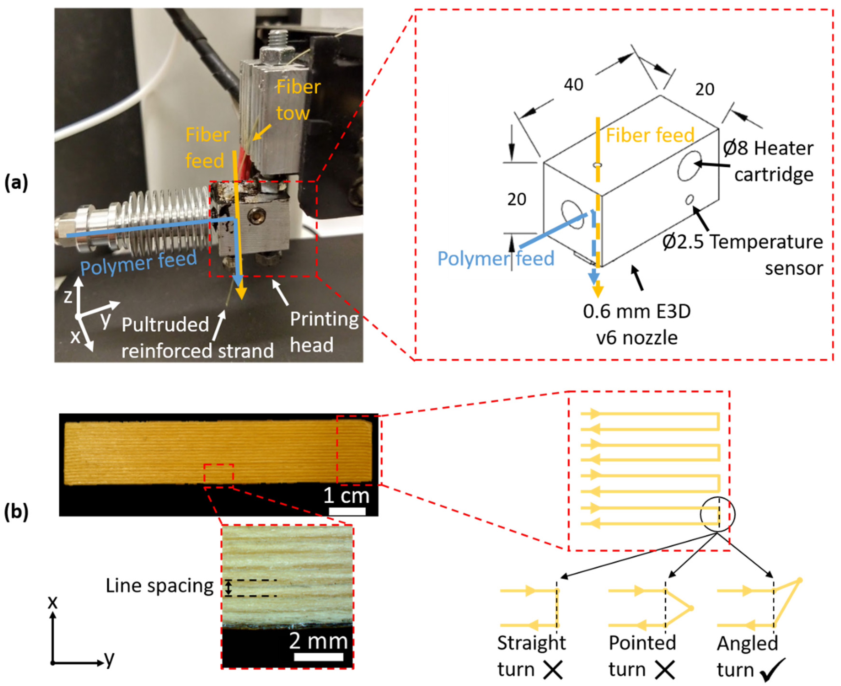 Polymers 14 00298 g001