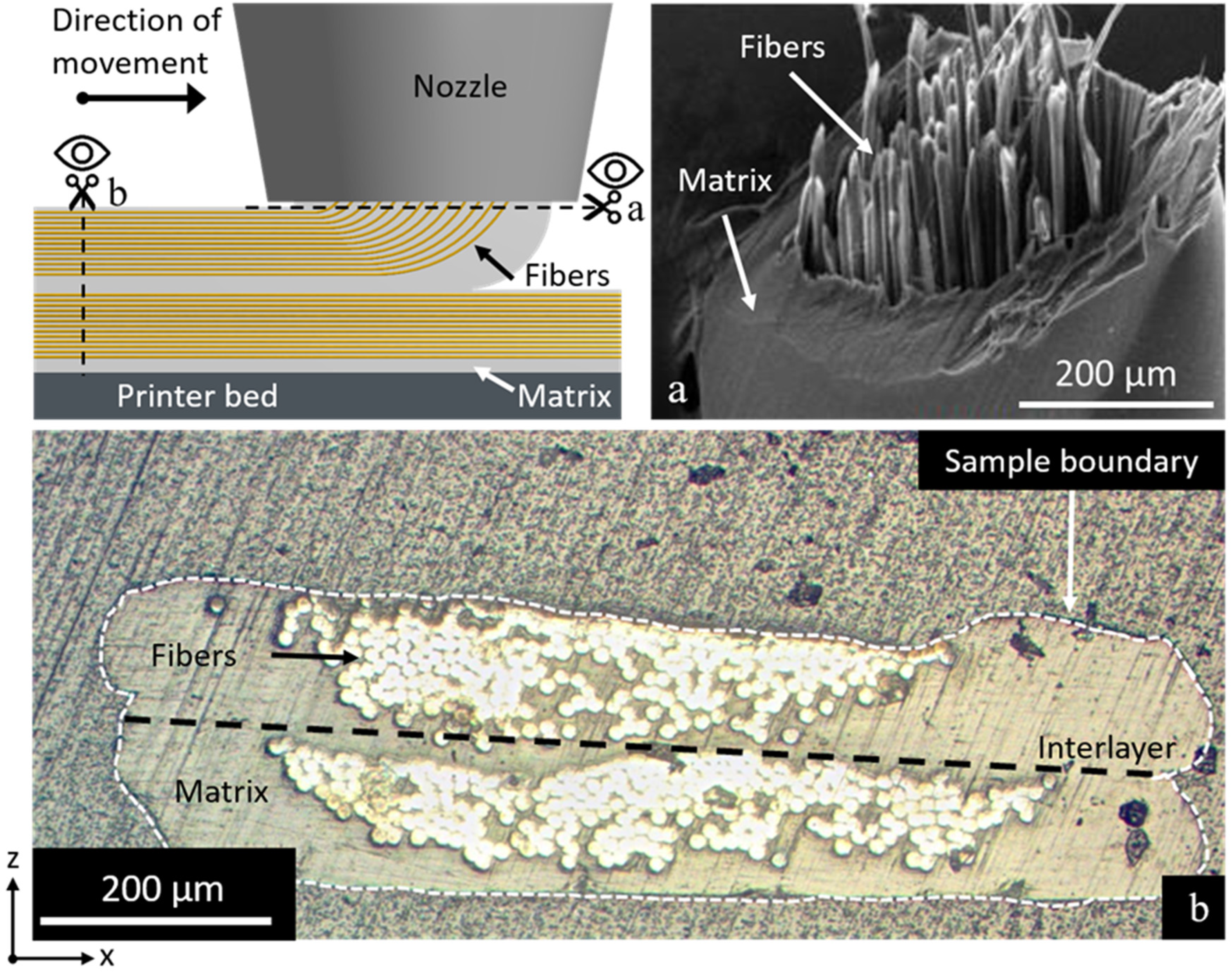 Polymers 14 00298 g002