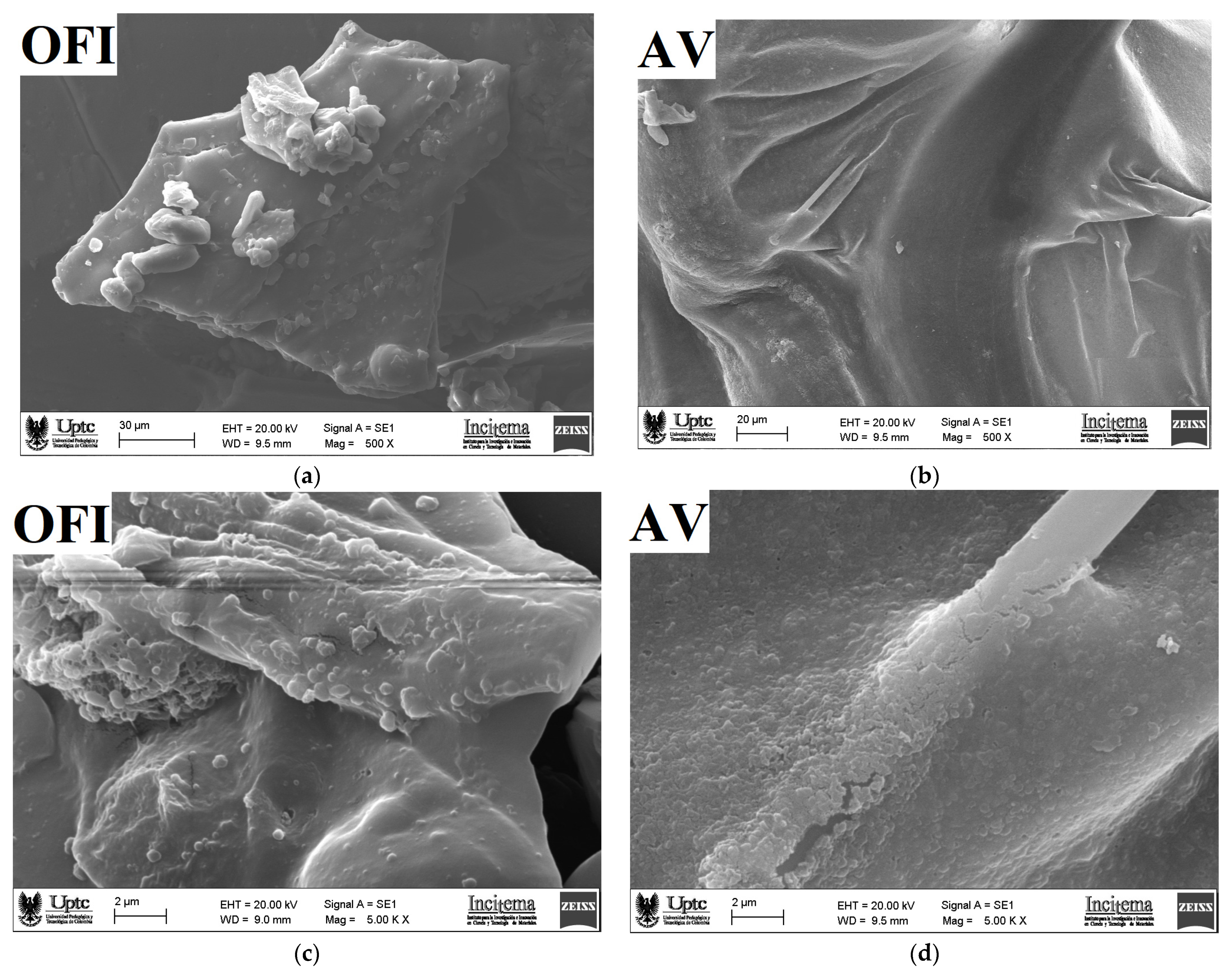 Polymers 14 00310 g003