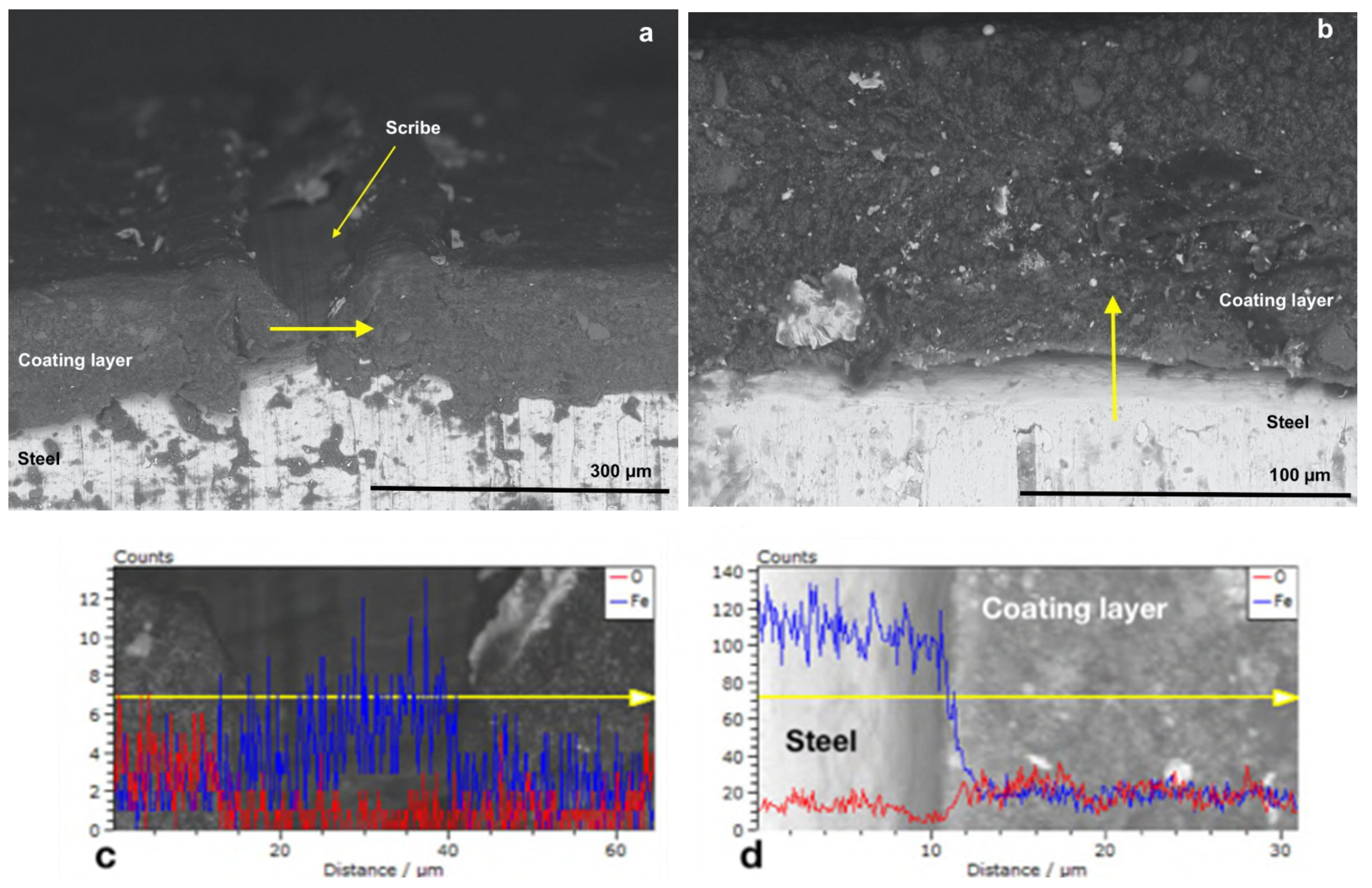 Polymers 14 00316 g005