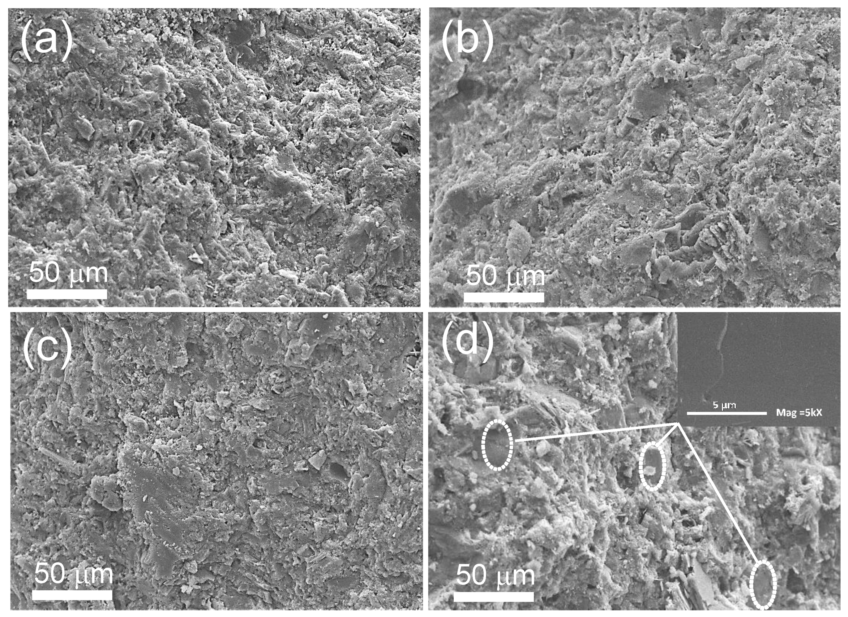 Polymers 14 00320 g002 Polymers 14 00320 g002