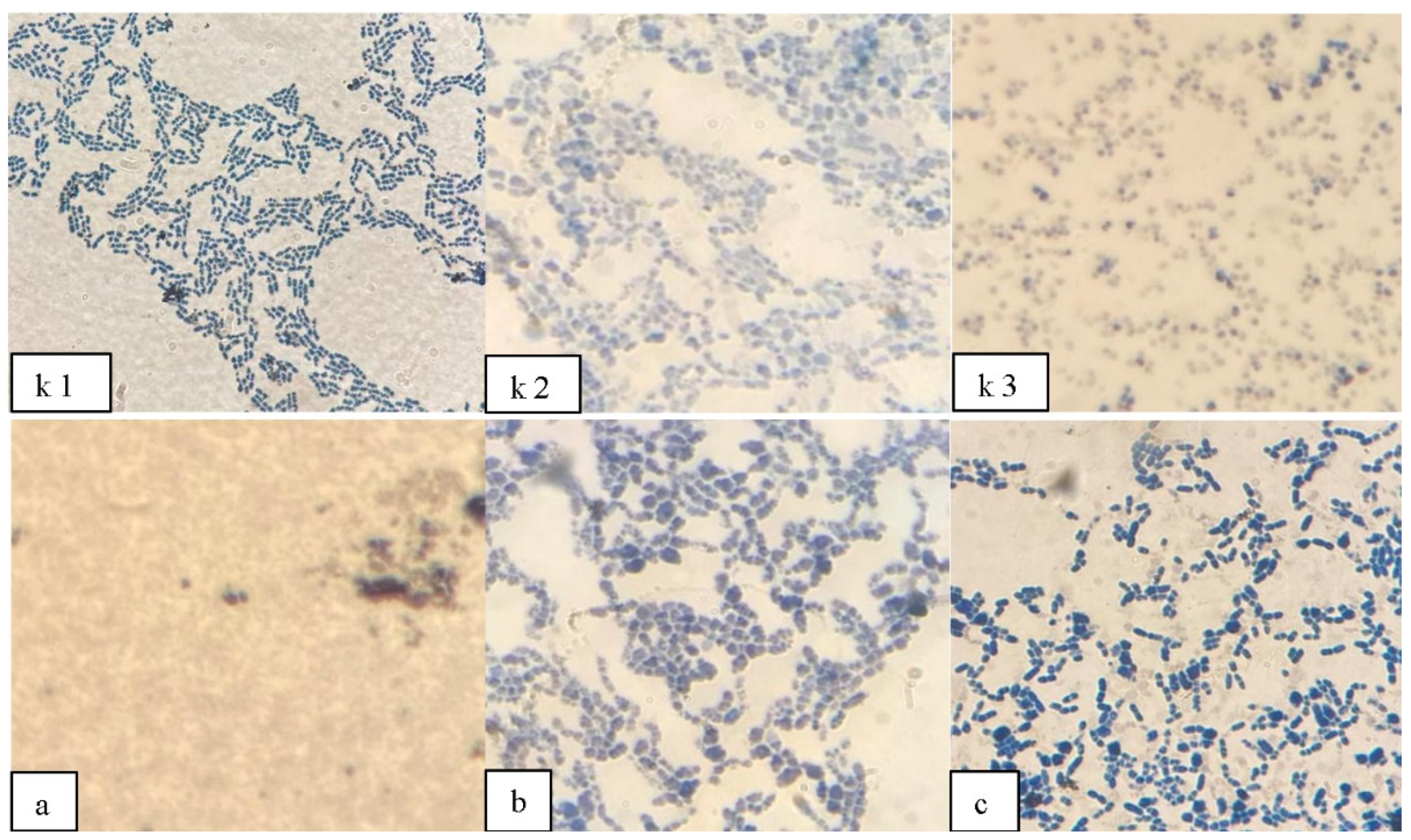 Polymers 14 00335 g002