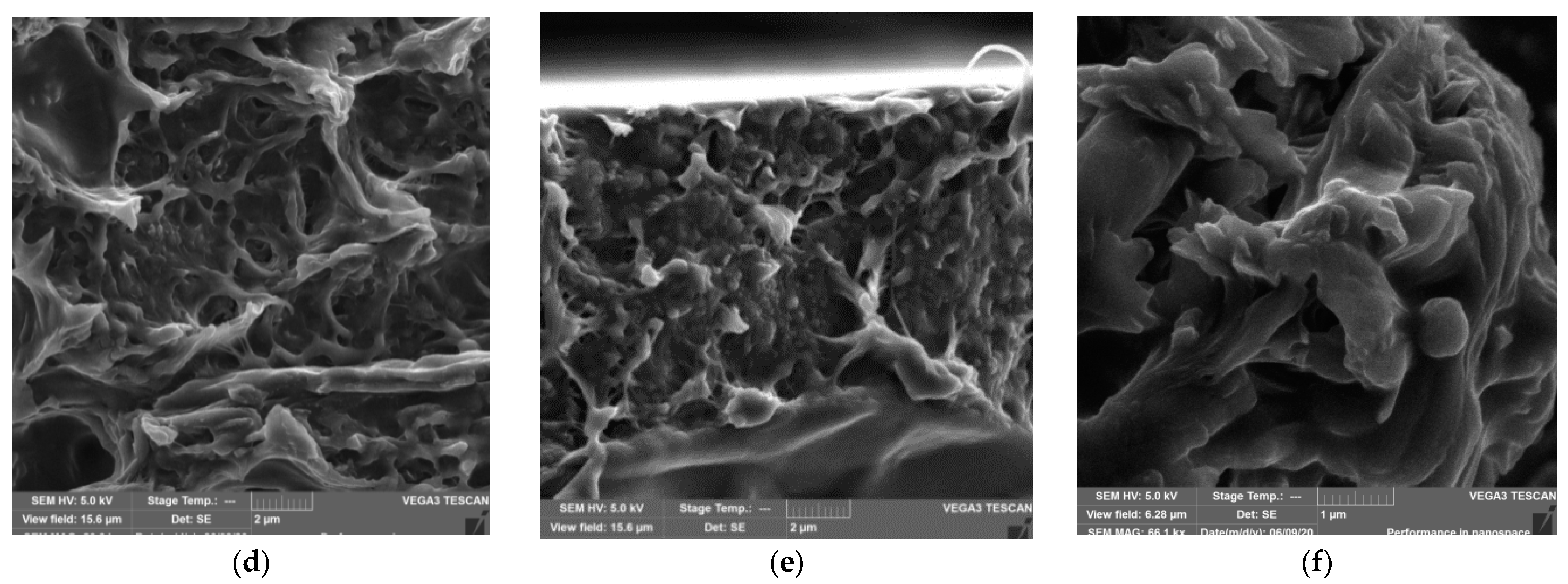 Polymers 14 00340 g003b