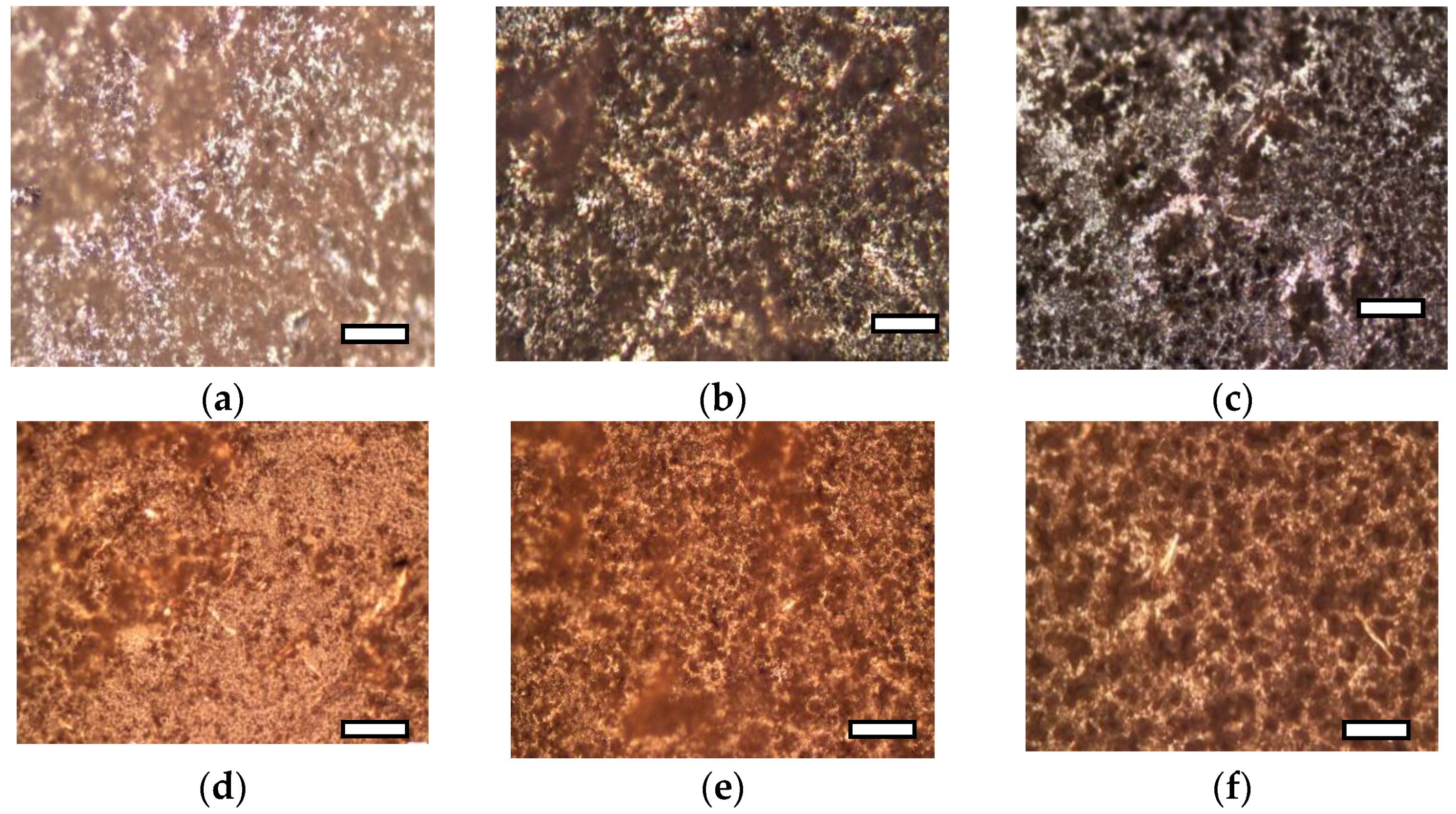 Polymers 14 00340 g004