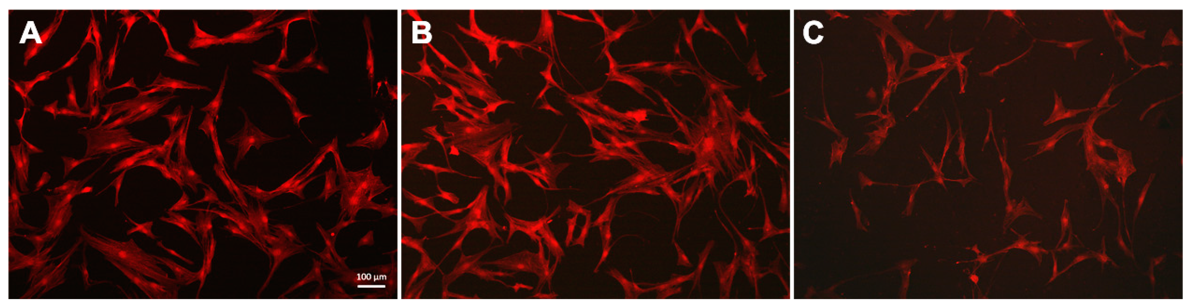 Polymers 14 00344 g005