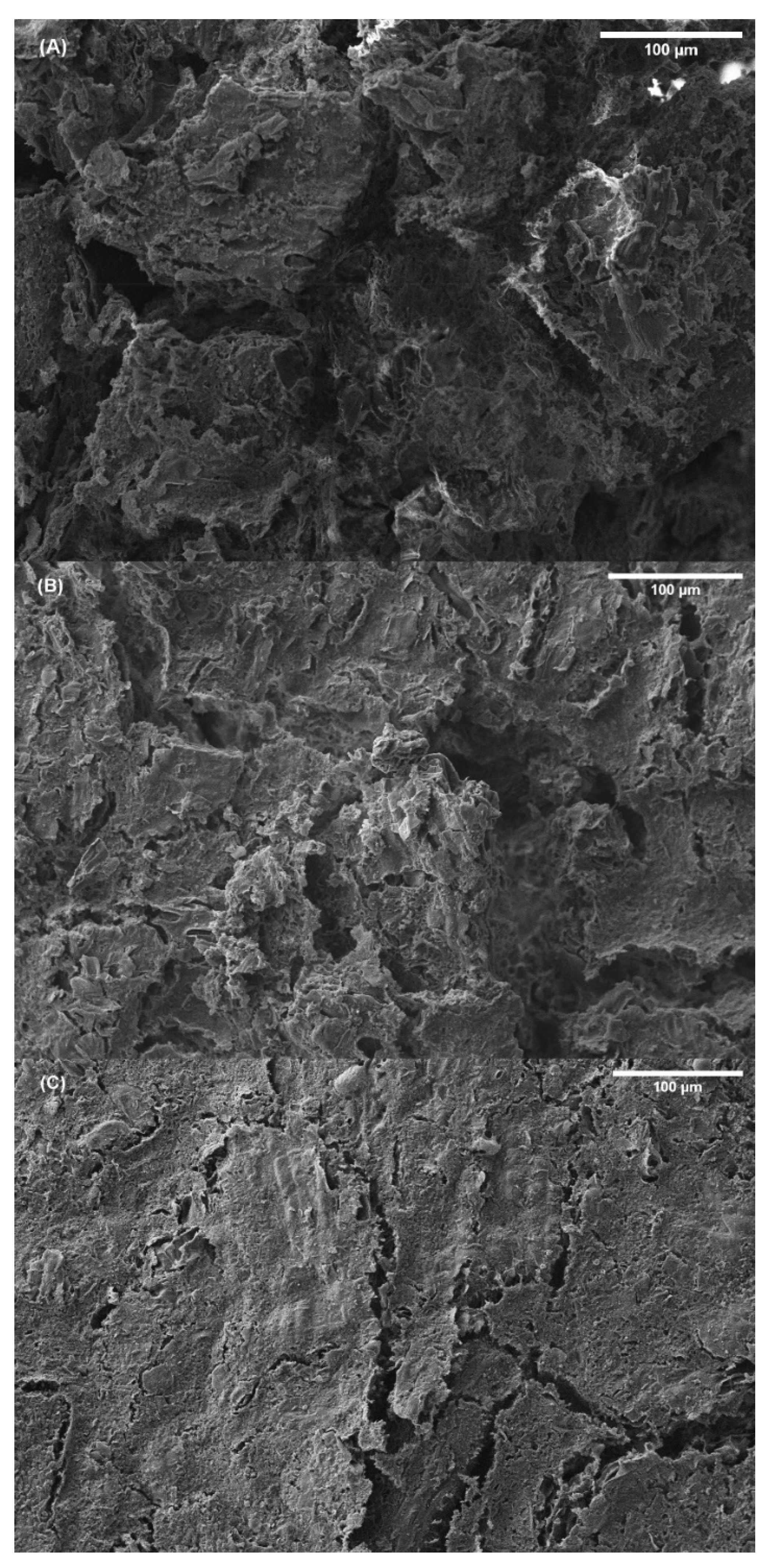 Polymers 14 00355 g007