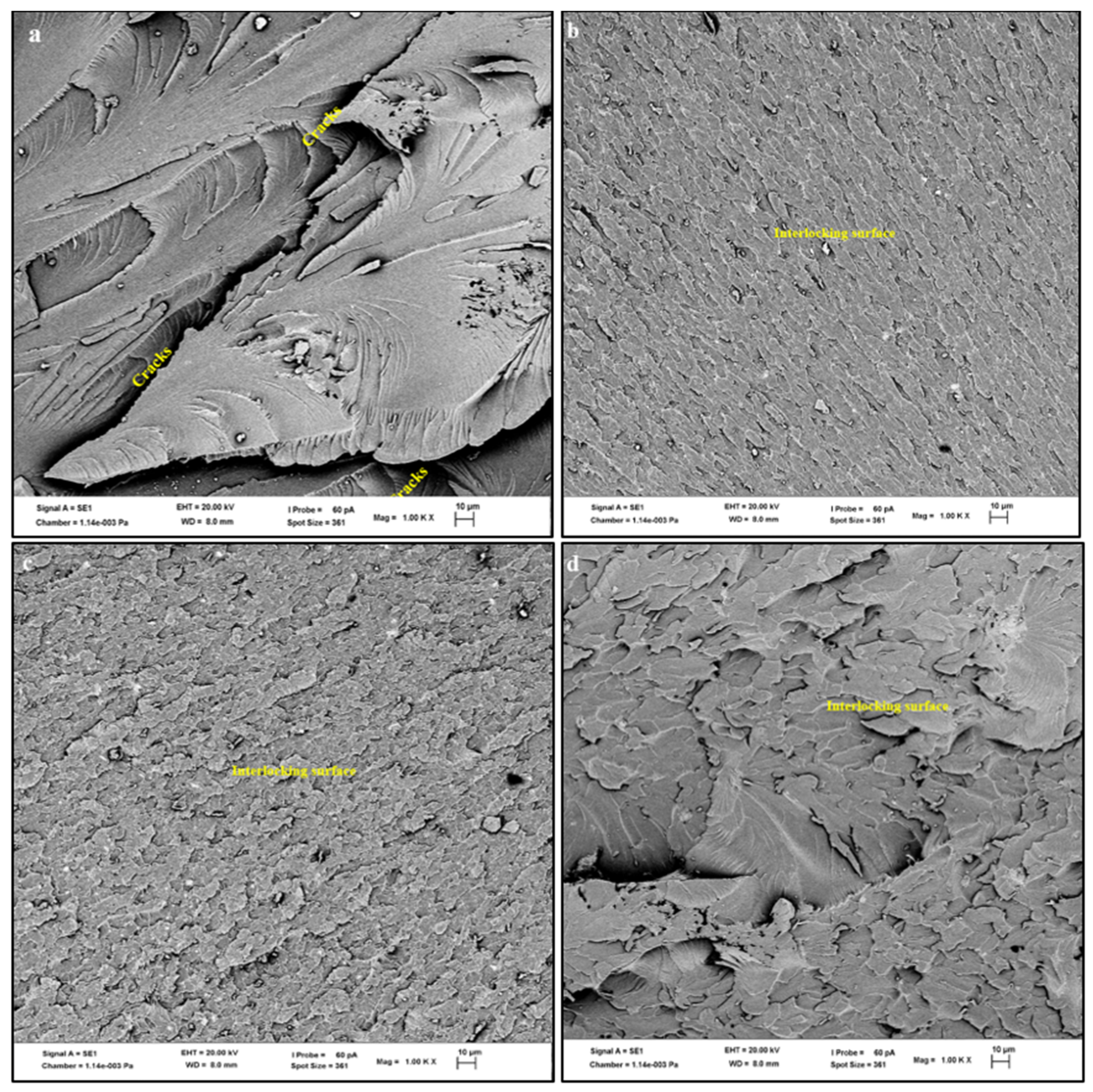 Polymers 14 00365 g003a