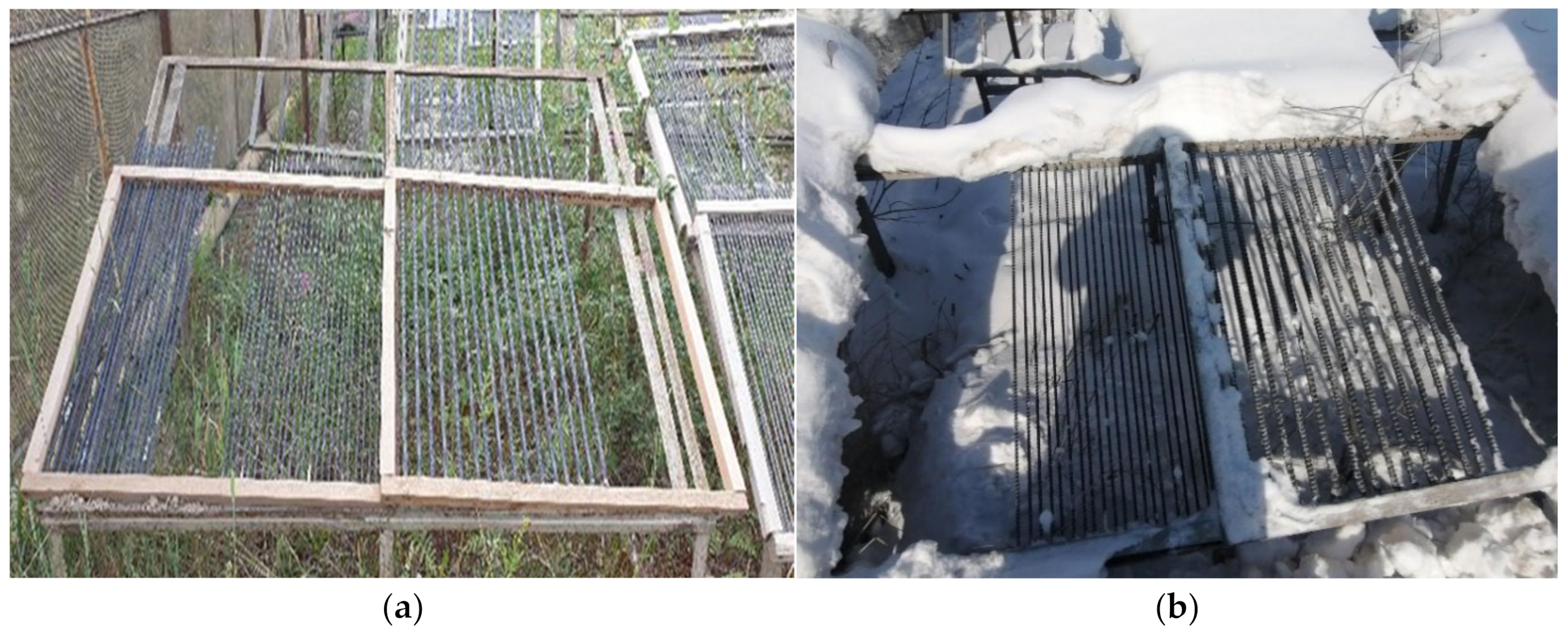 Polymers 14 00369 g002