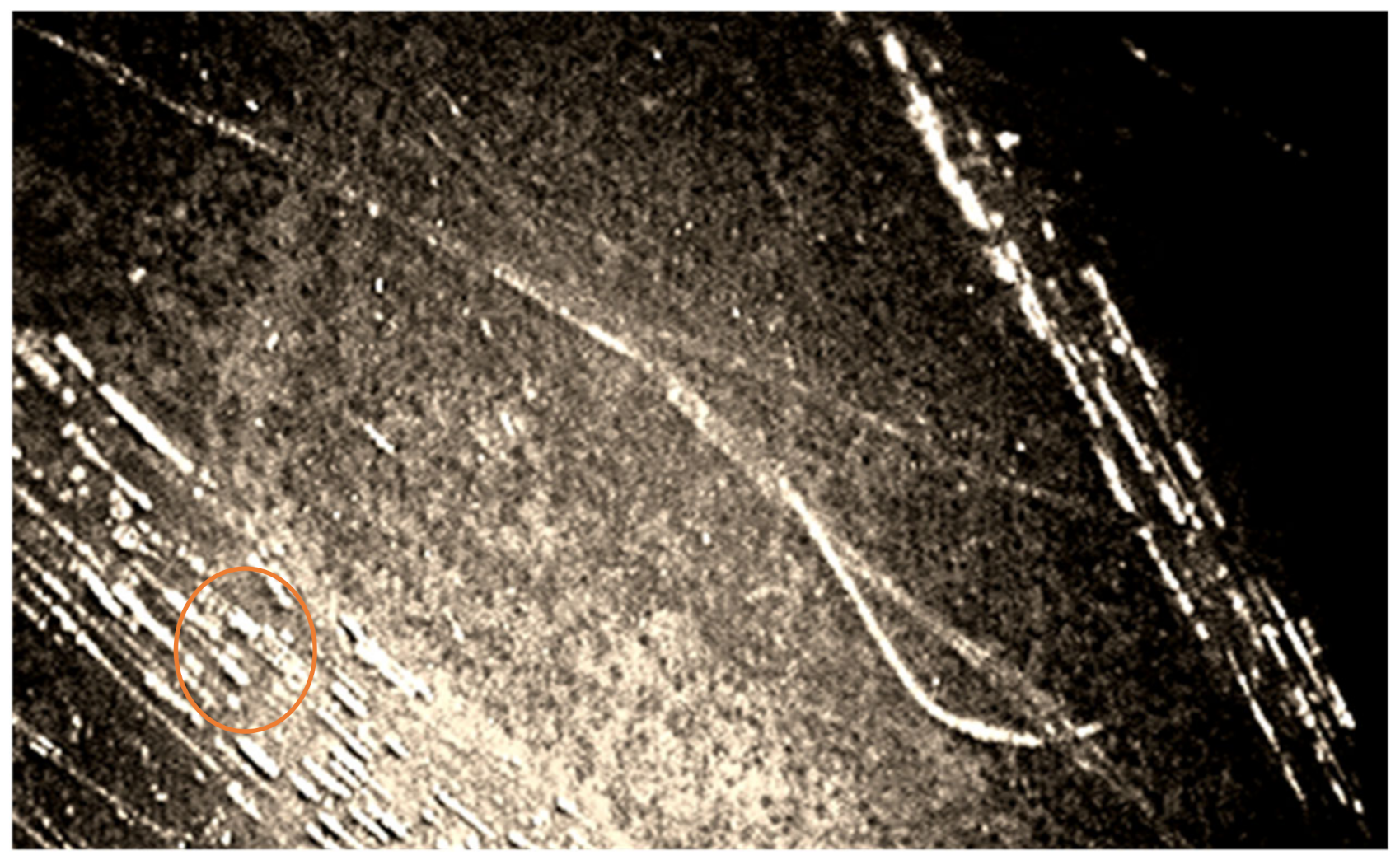 Polymers 14 00369 g004