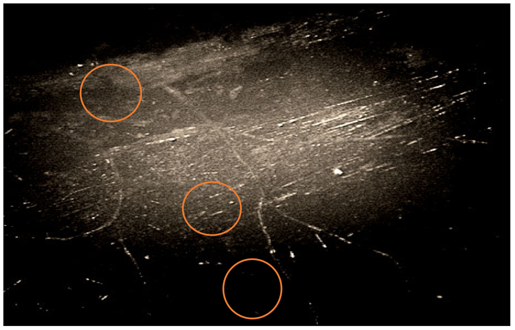 Polymers 14 00369 g005