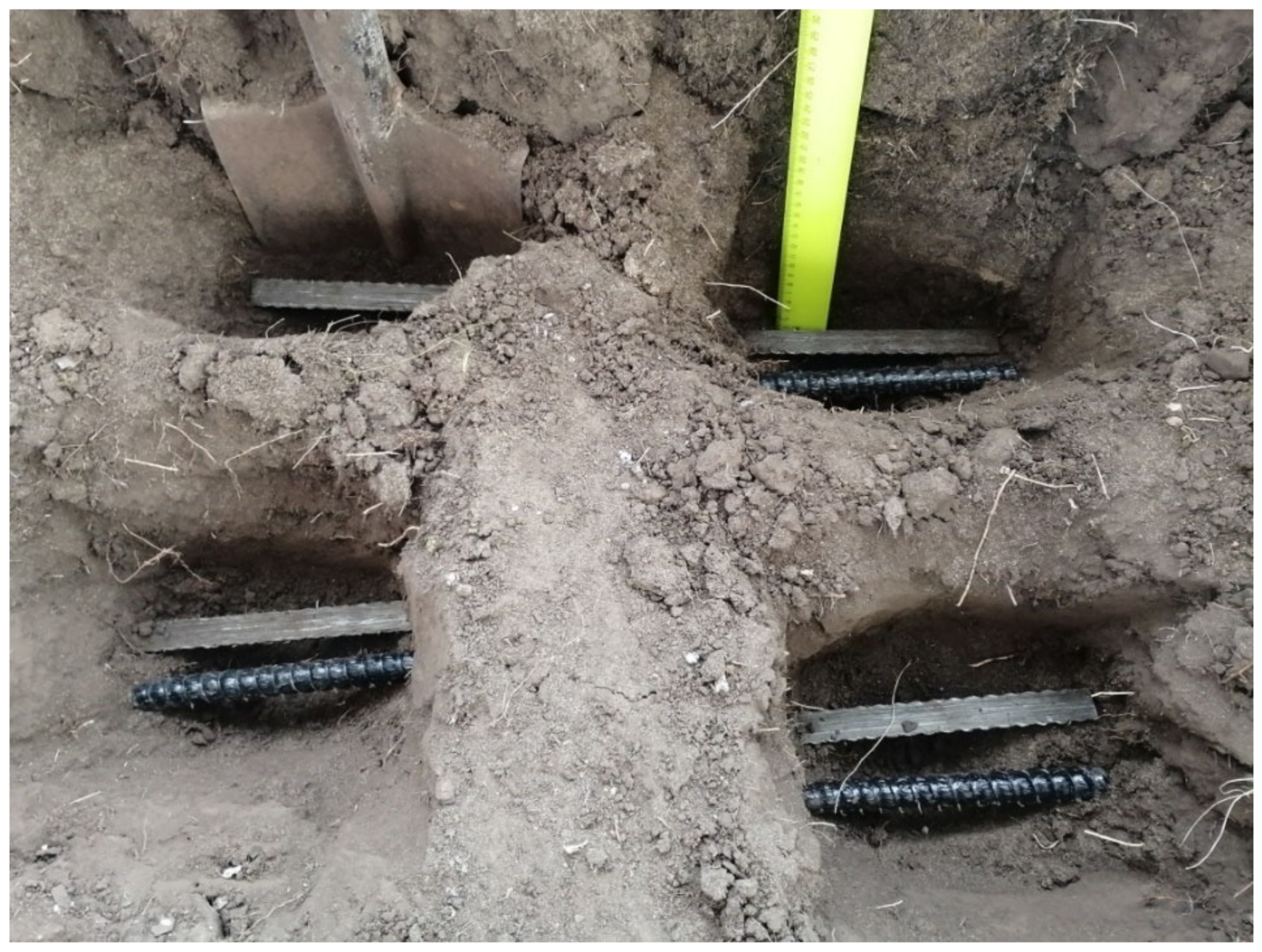 Polymers 14 00369 g006