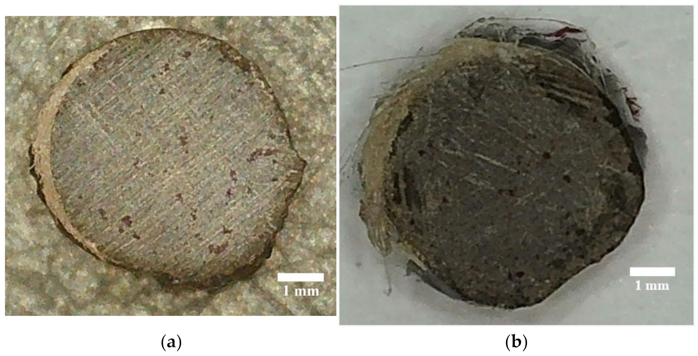 Polymers 14 00369 g008