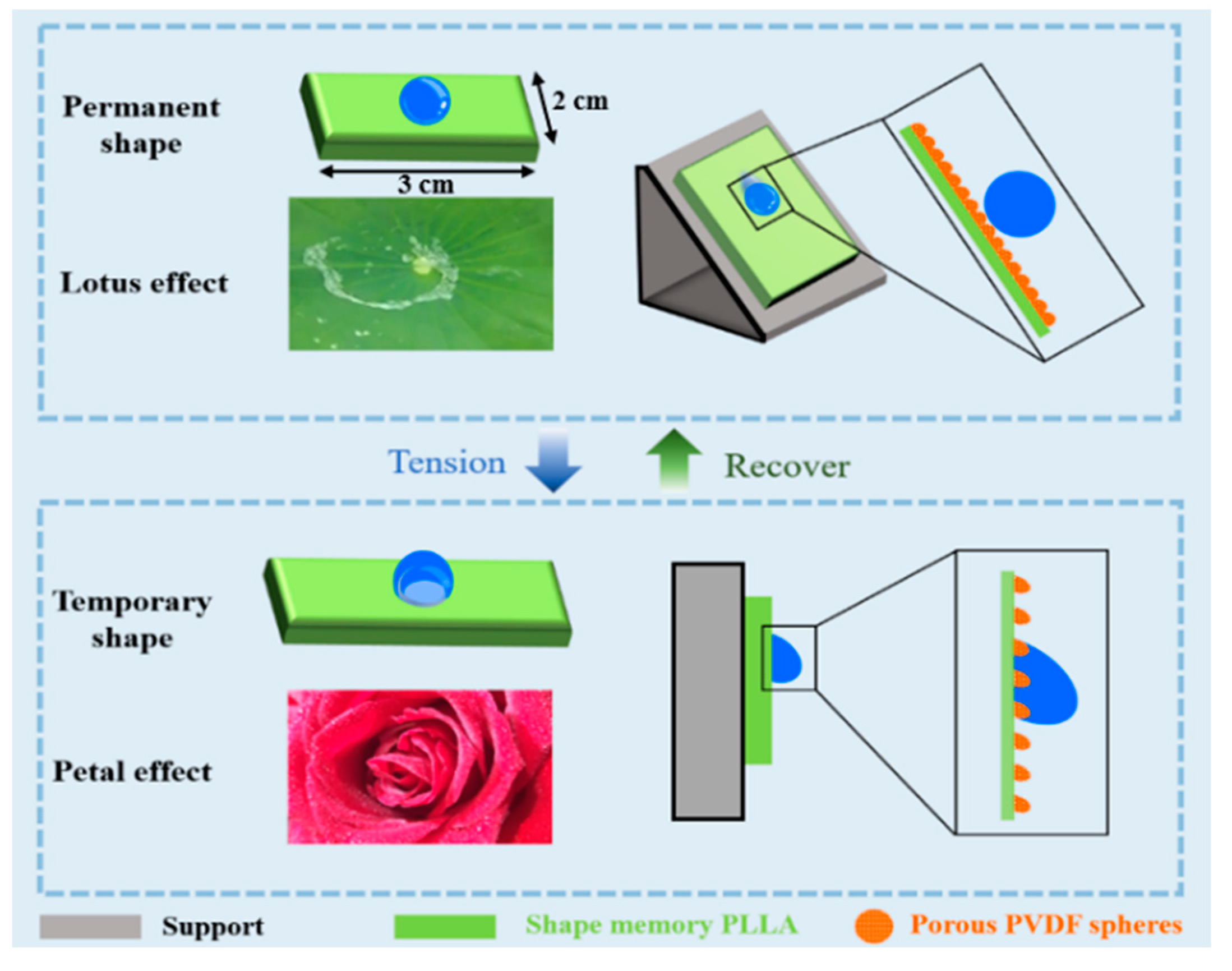 Polymers 14 00374 sch001