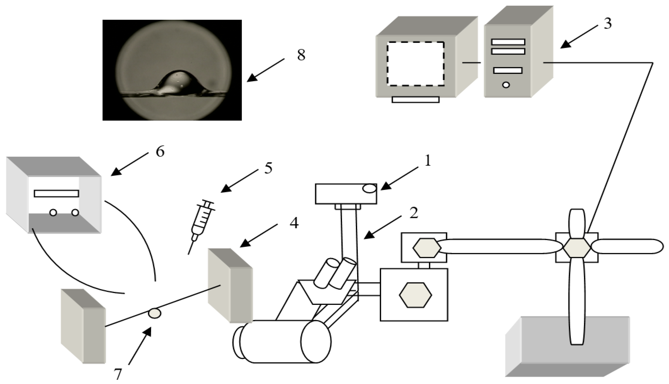 Polymers 14 00379 g002