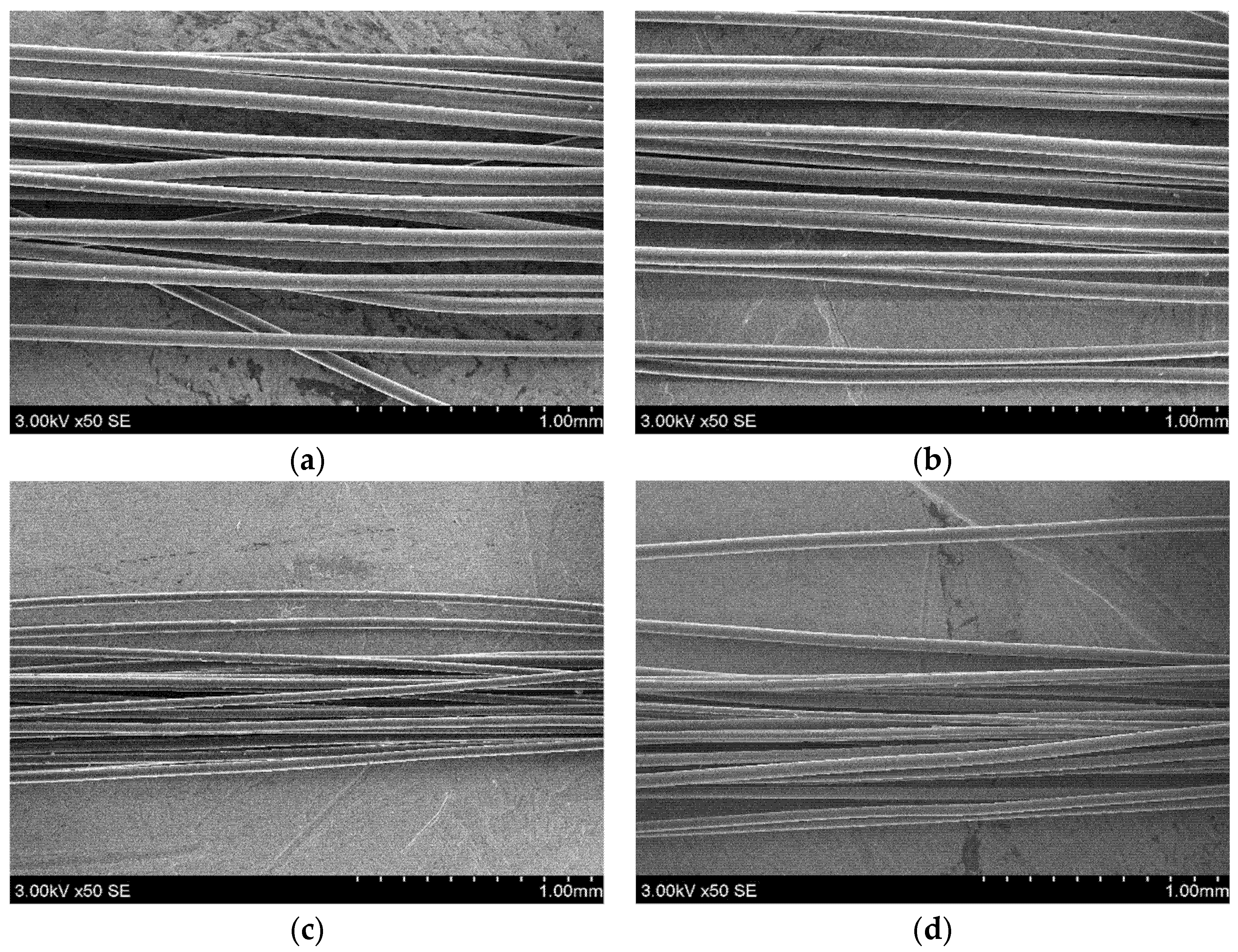 Polymers 14 00379 g003