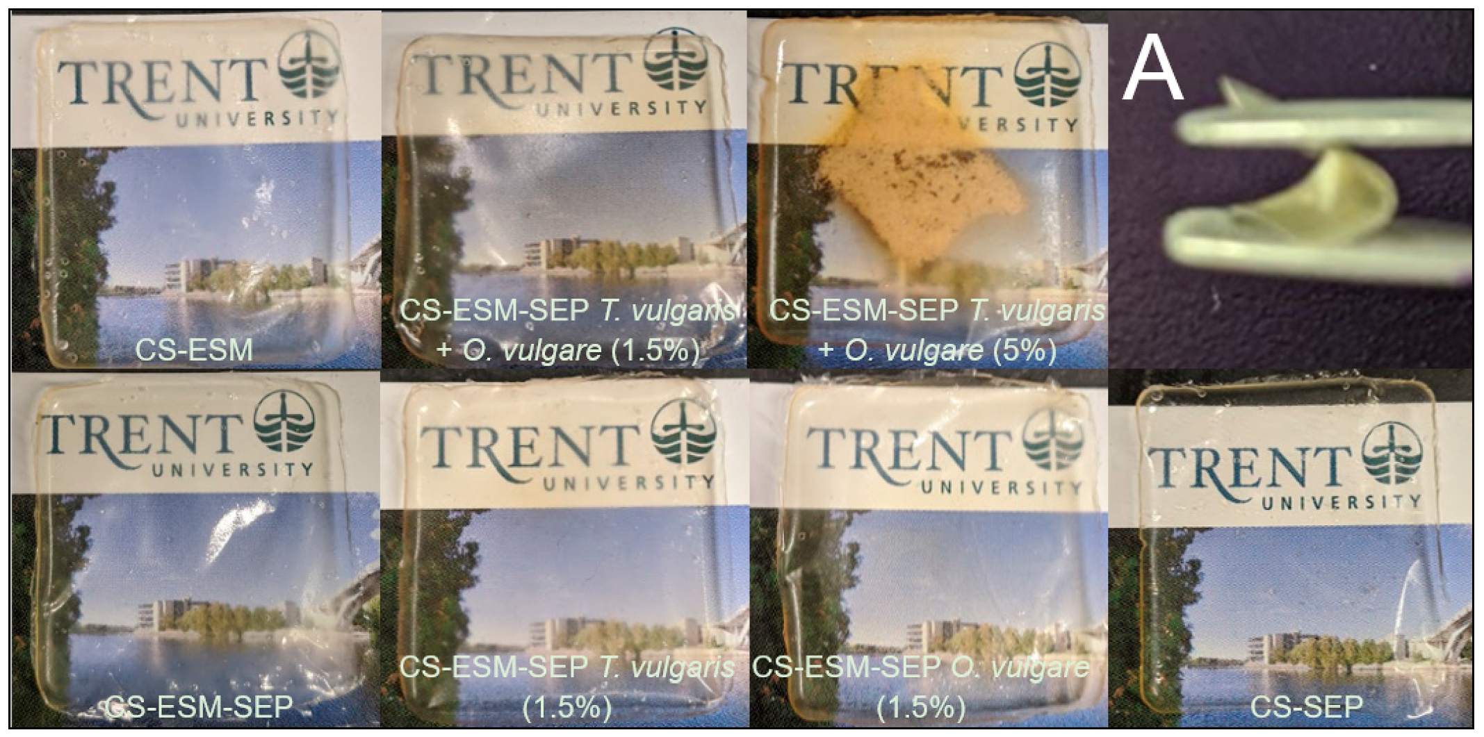 Polymers 14 00383 g001