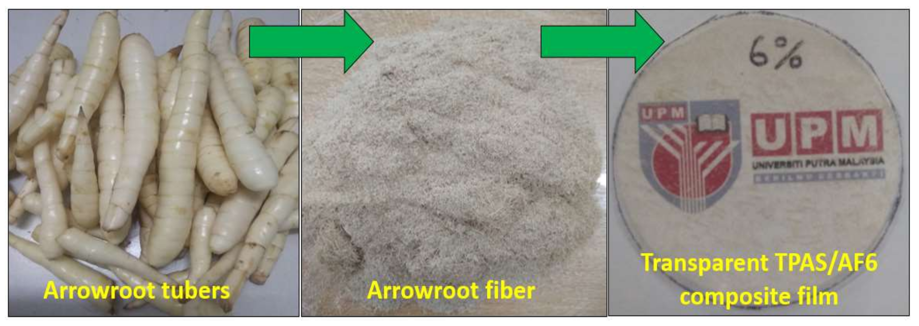 Polymers 14 00388 g001