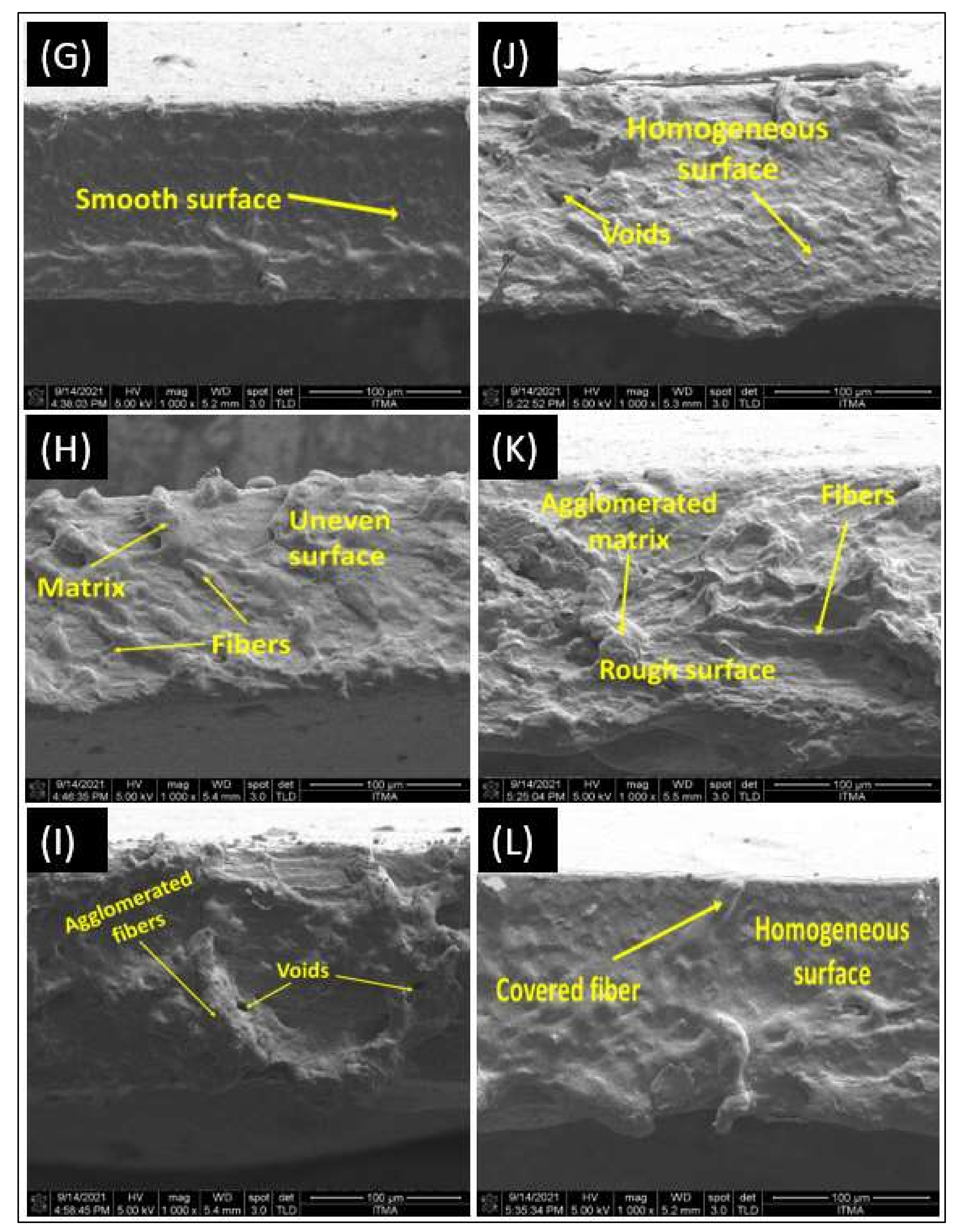 Polymers 14 00388 g004b