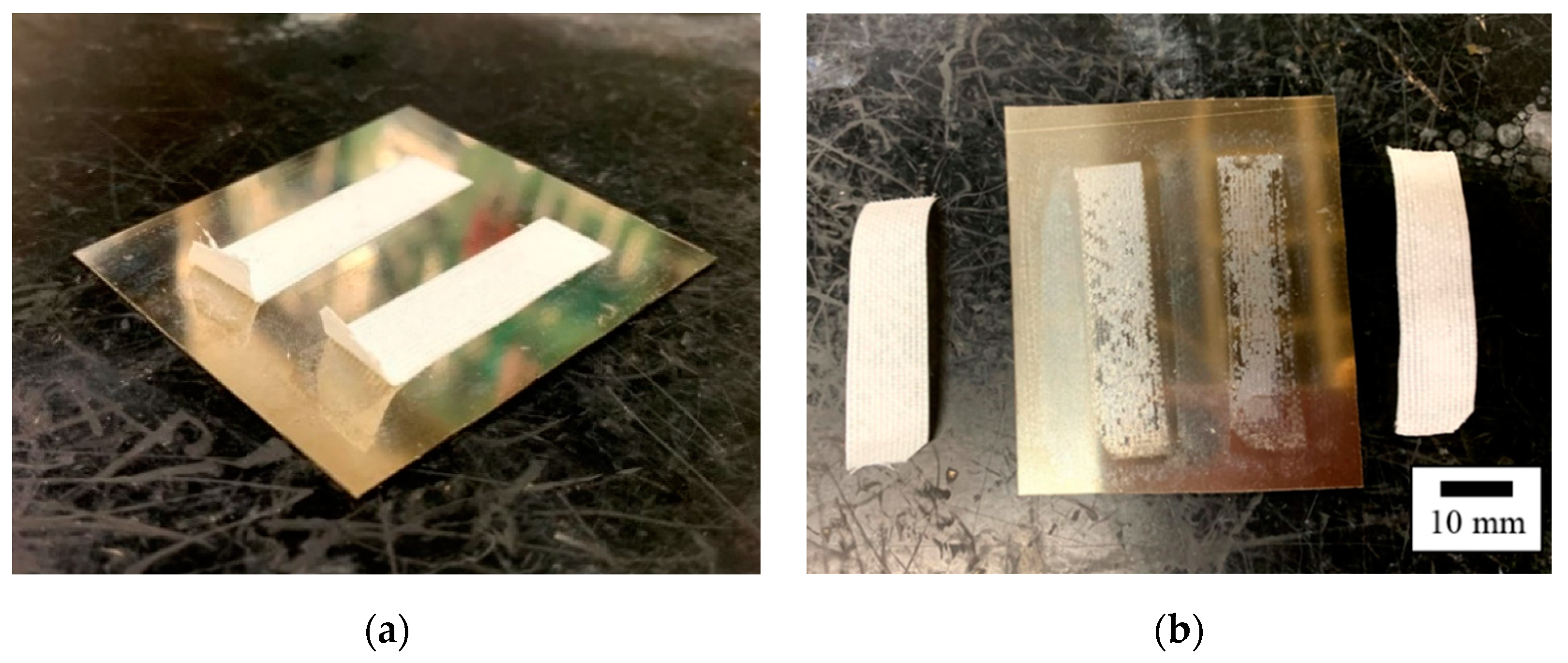 Polymers 14 00394 g005