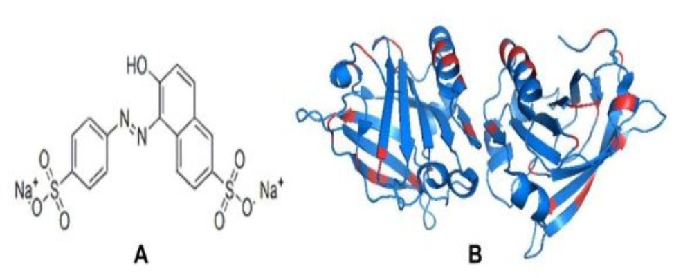 Polymers 14 00395 g001