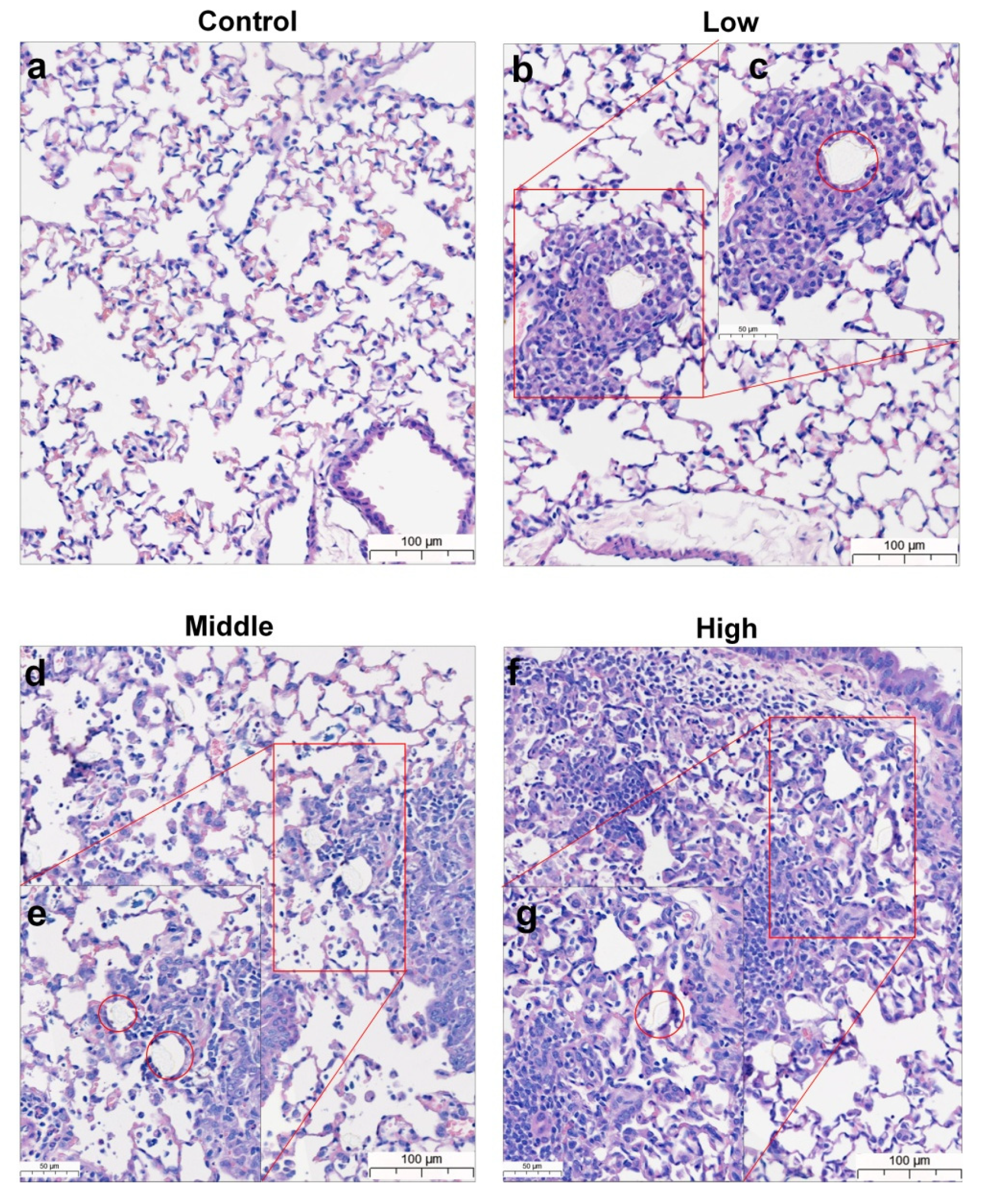 Polymers 14 00402 g005
