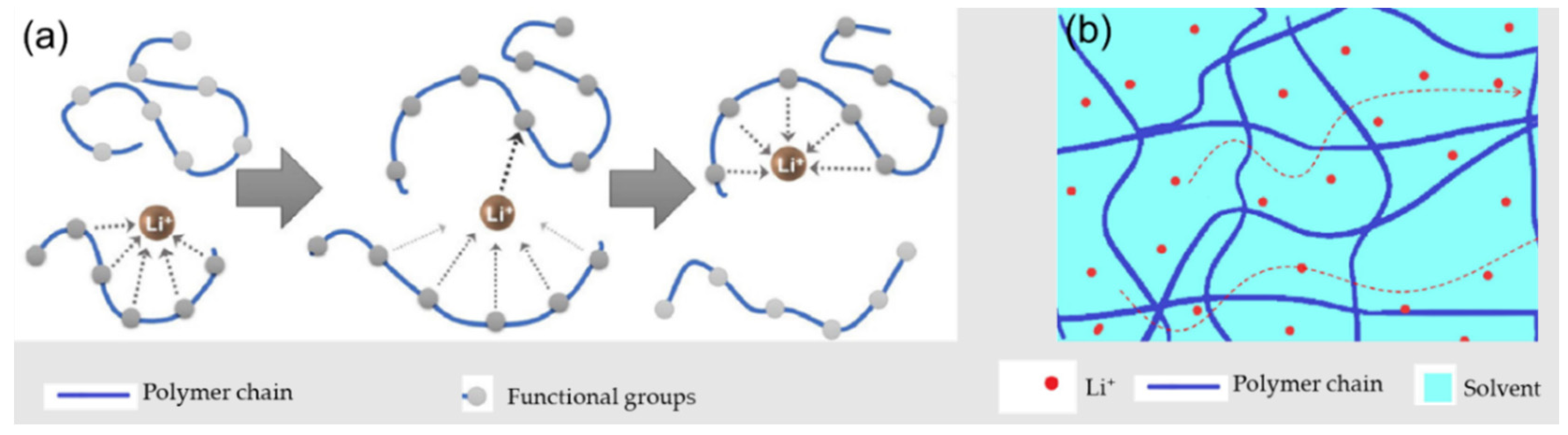 Polymers 14 00403 g003