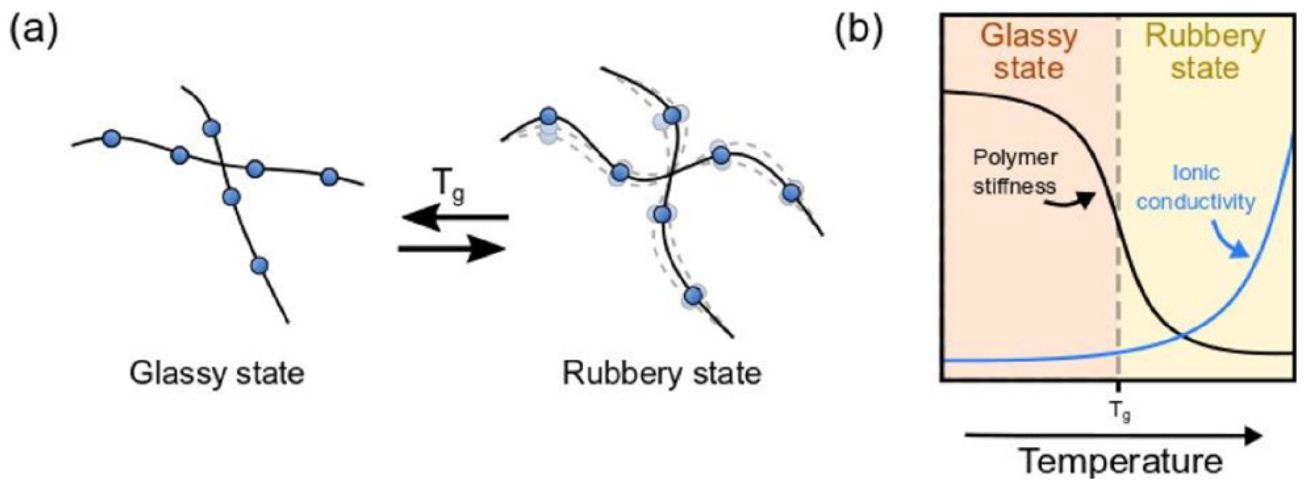 Polymers 14 00403 g005