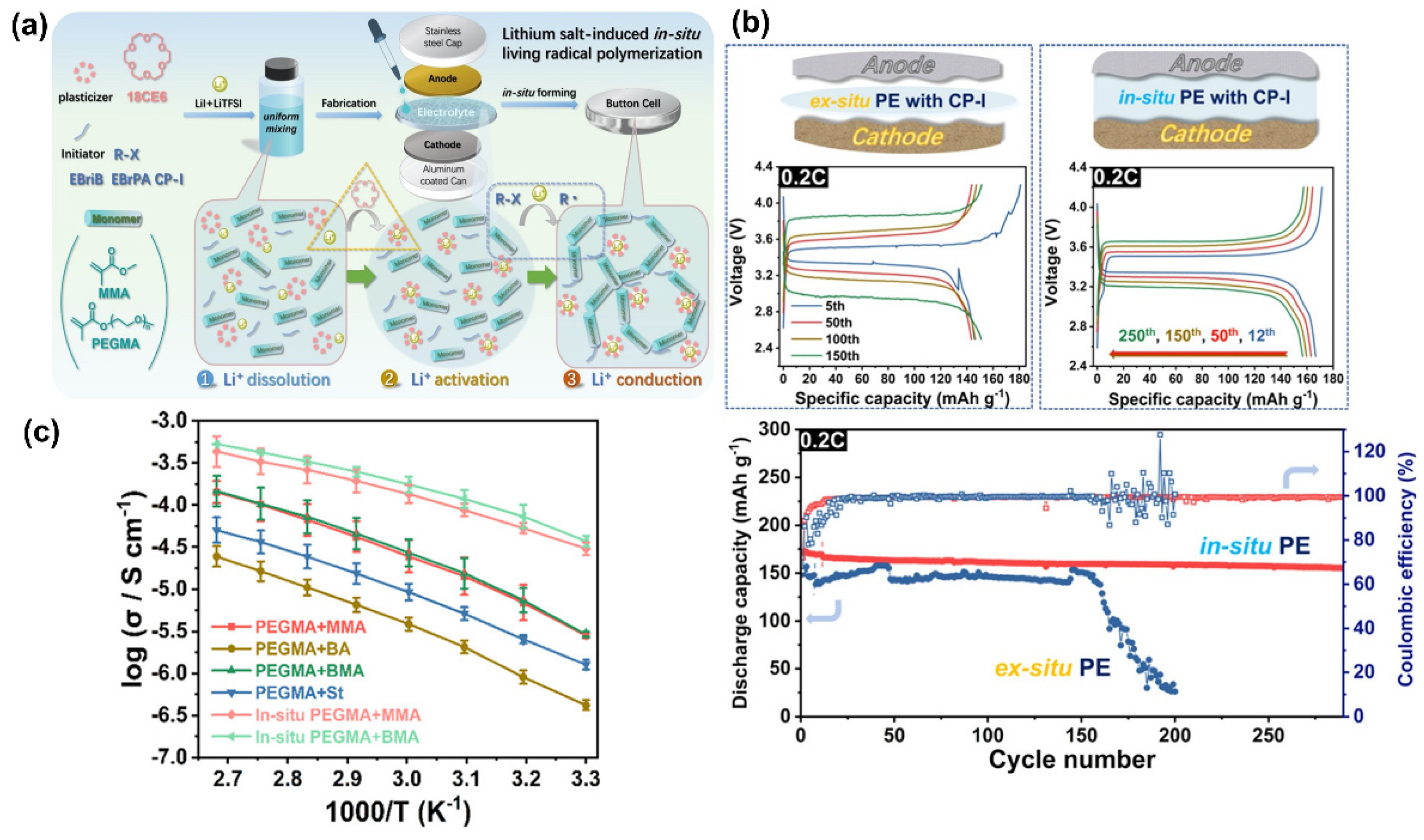 Polymers 14 00403 g008