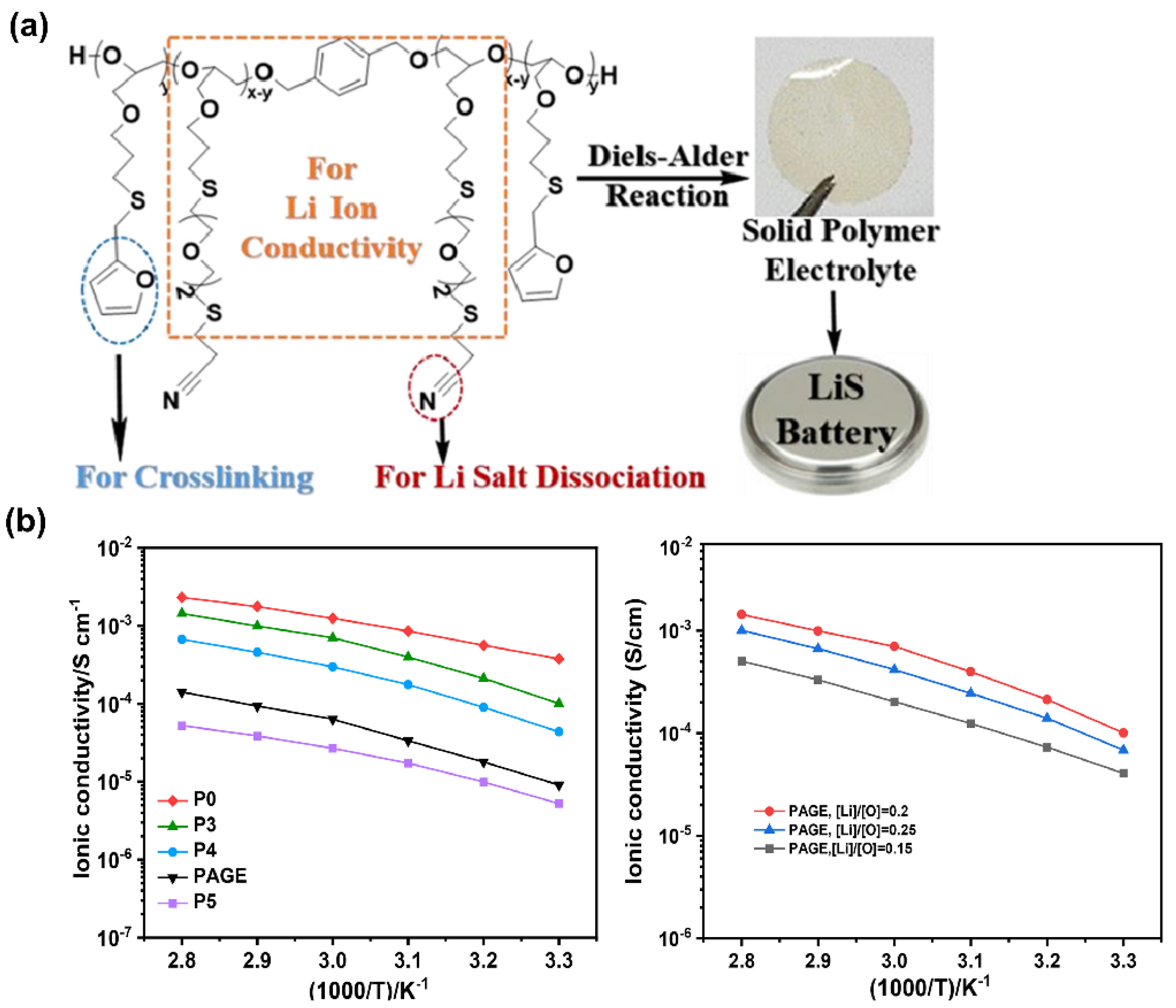 Polymers 14 00403 g009
