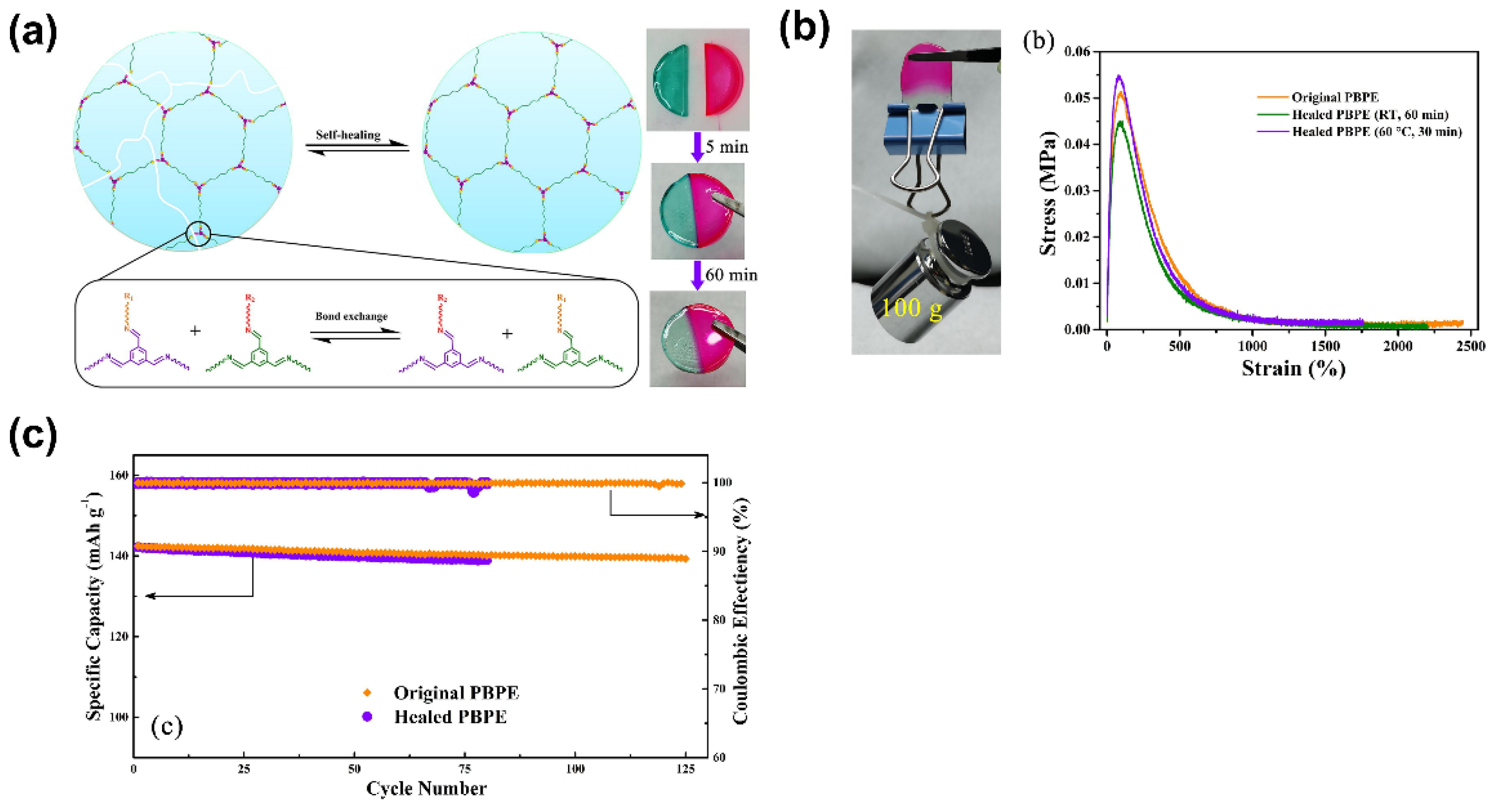Polymers 14 00403 g010
