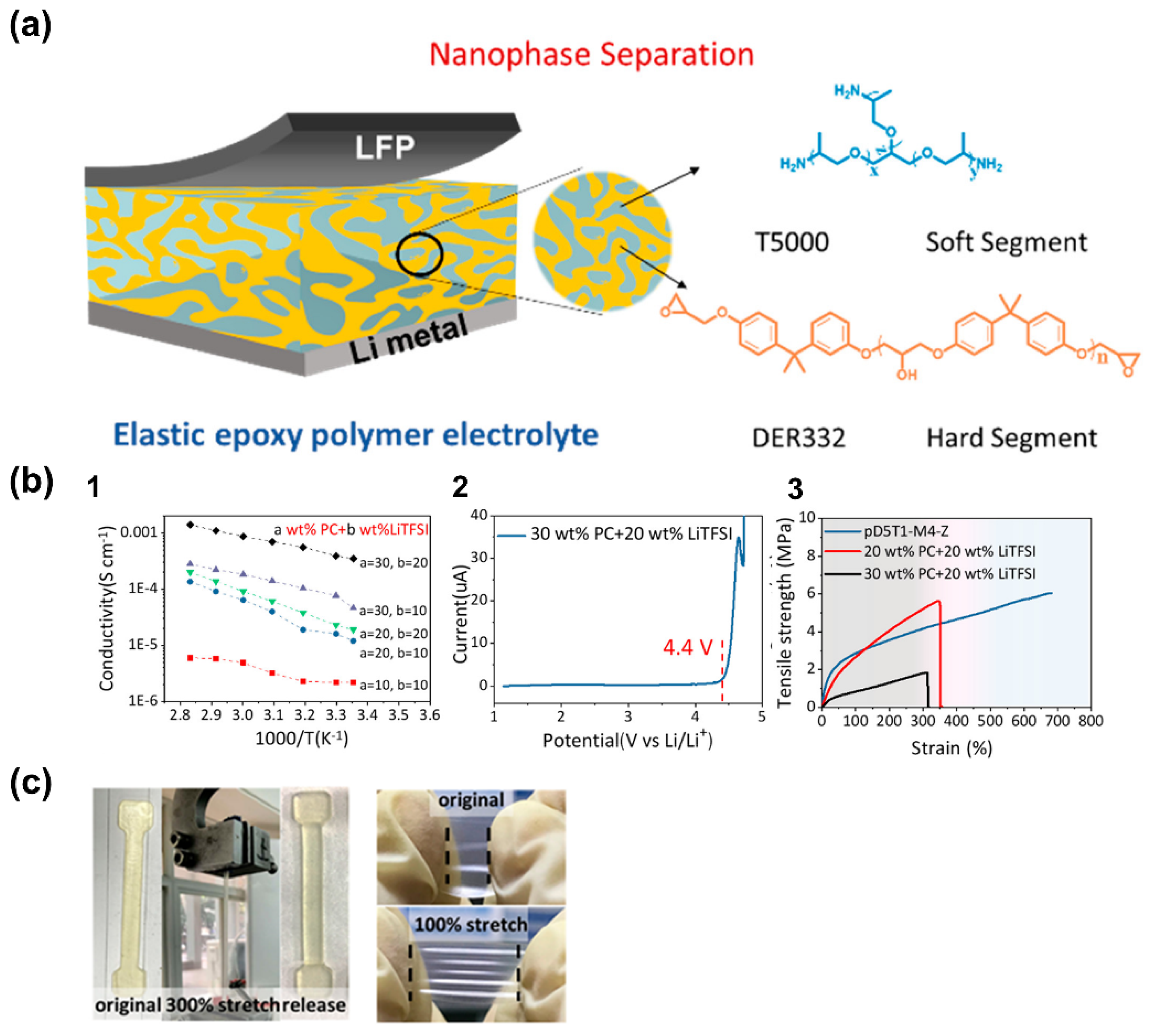 Polymers 14 00403 g012