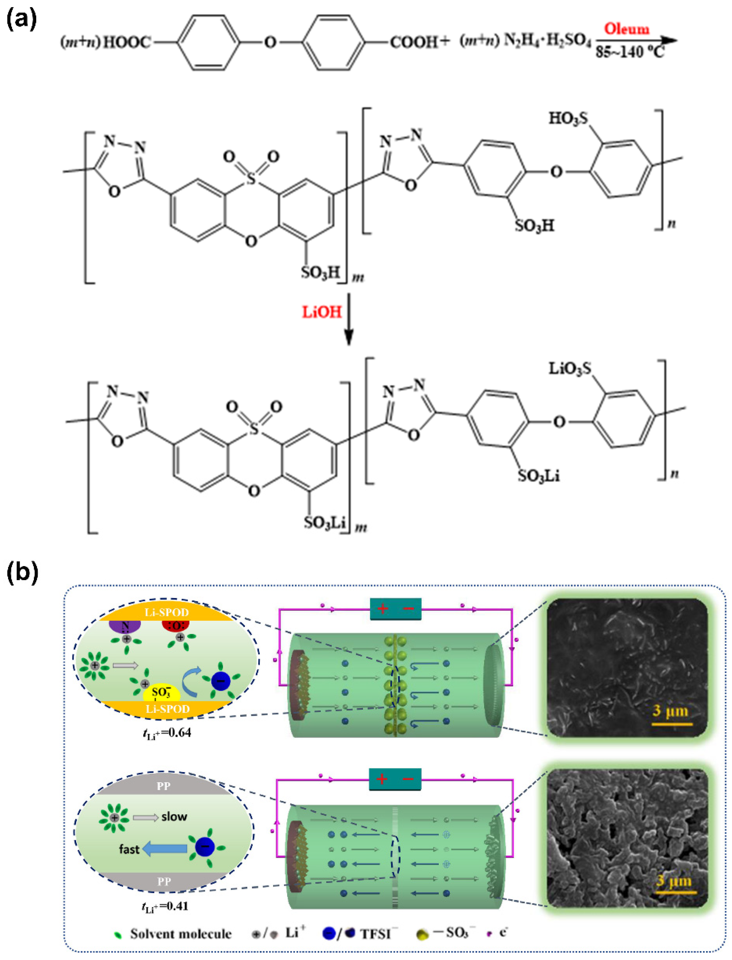 Polymers 14 00403 g014