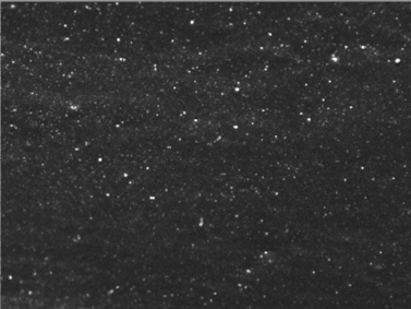 Polymers 14 00418 i002 Polymers 14 00418 i002