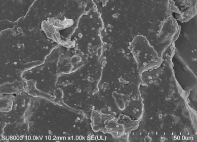 Polymers 14 00418 i006 Polymers 14 00418 i006