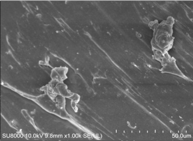 Polymers 14 00418 i009 Polymers 14 00418 i009