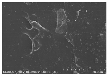 Polymers 14 00418 i012 Polymers 14 00418 i012