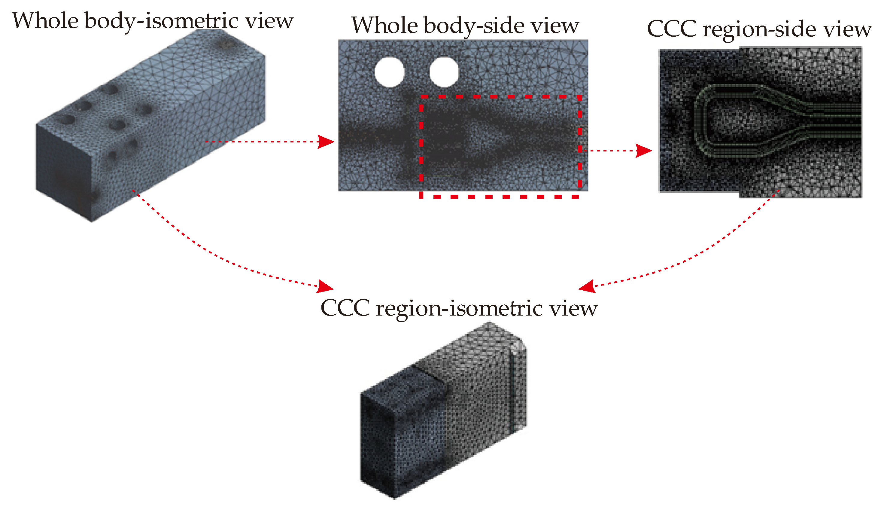 Polymers 14 00424 g006