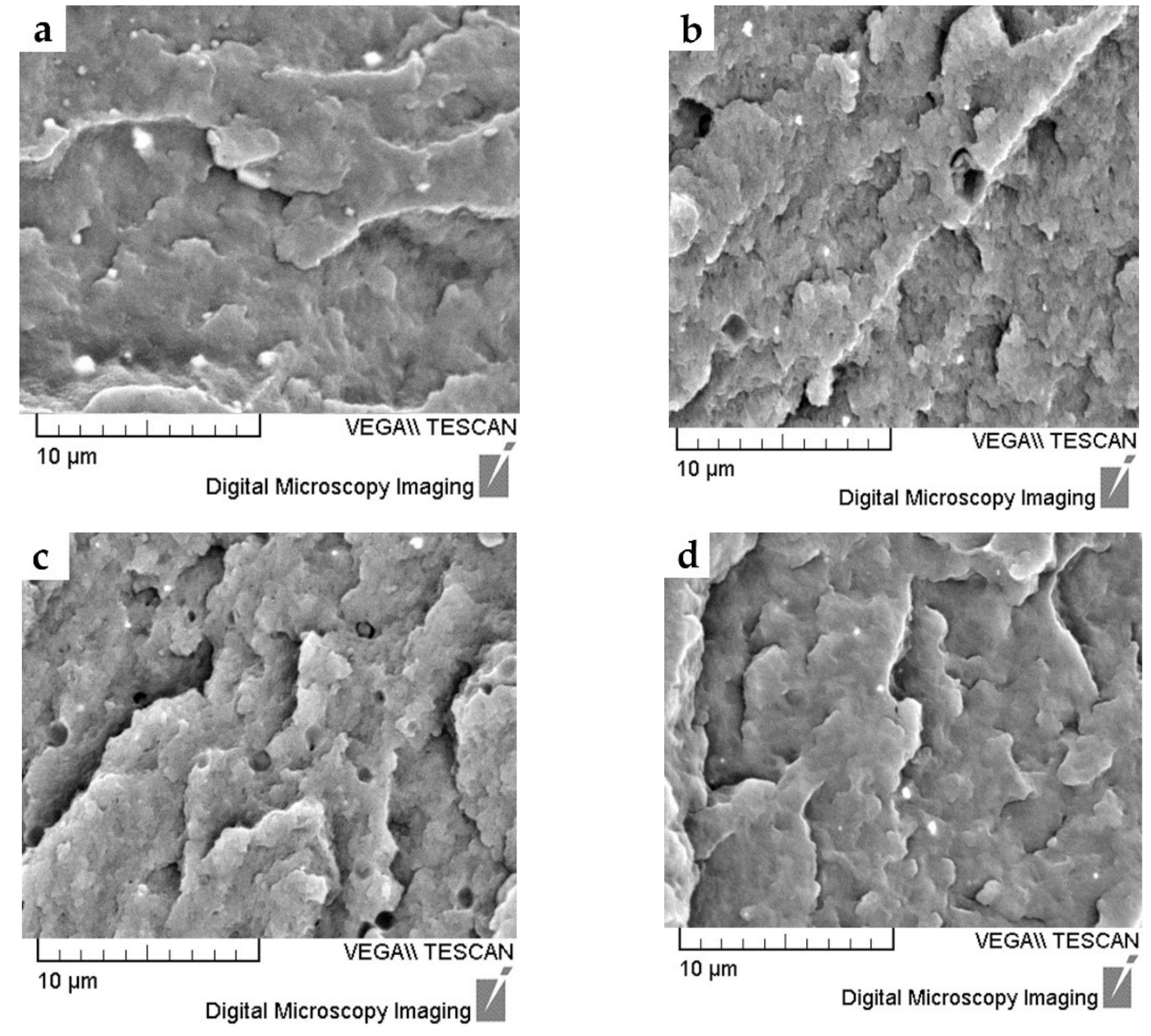Polymers 14 00434 g003 Polymers 14 00434 g003