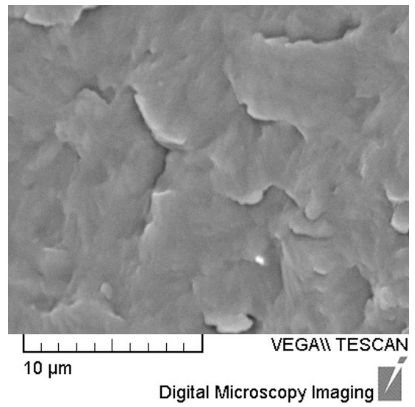 Polymers 14 00434 g004 Polymers 14 00434 g004