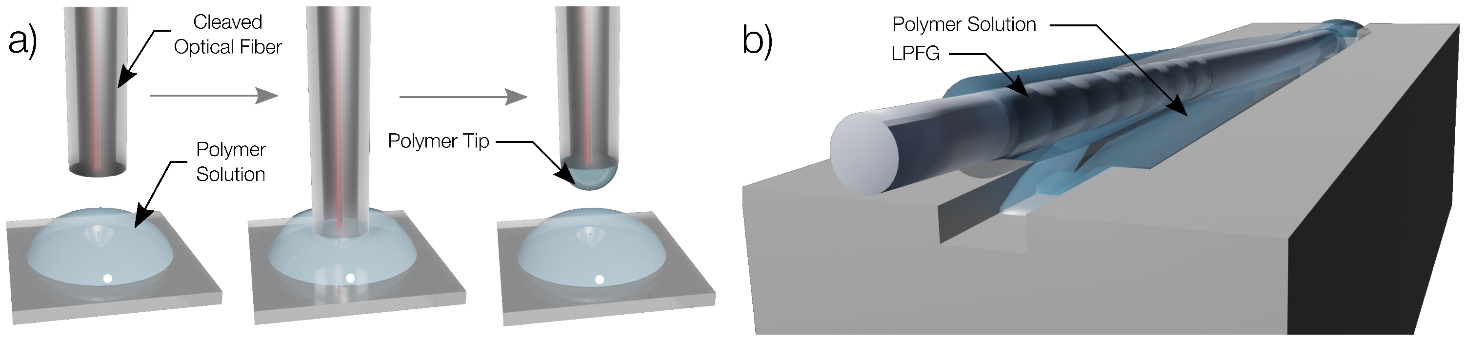Polymers 14 00439 g003