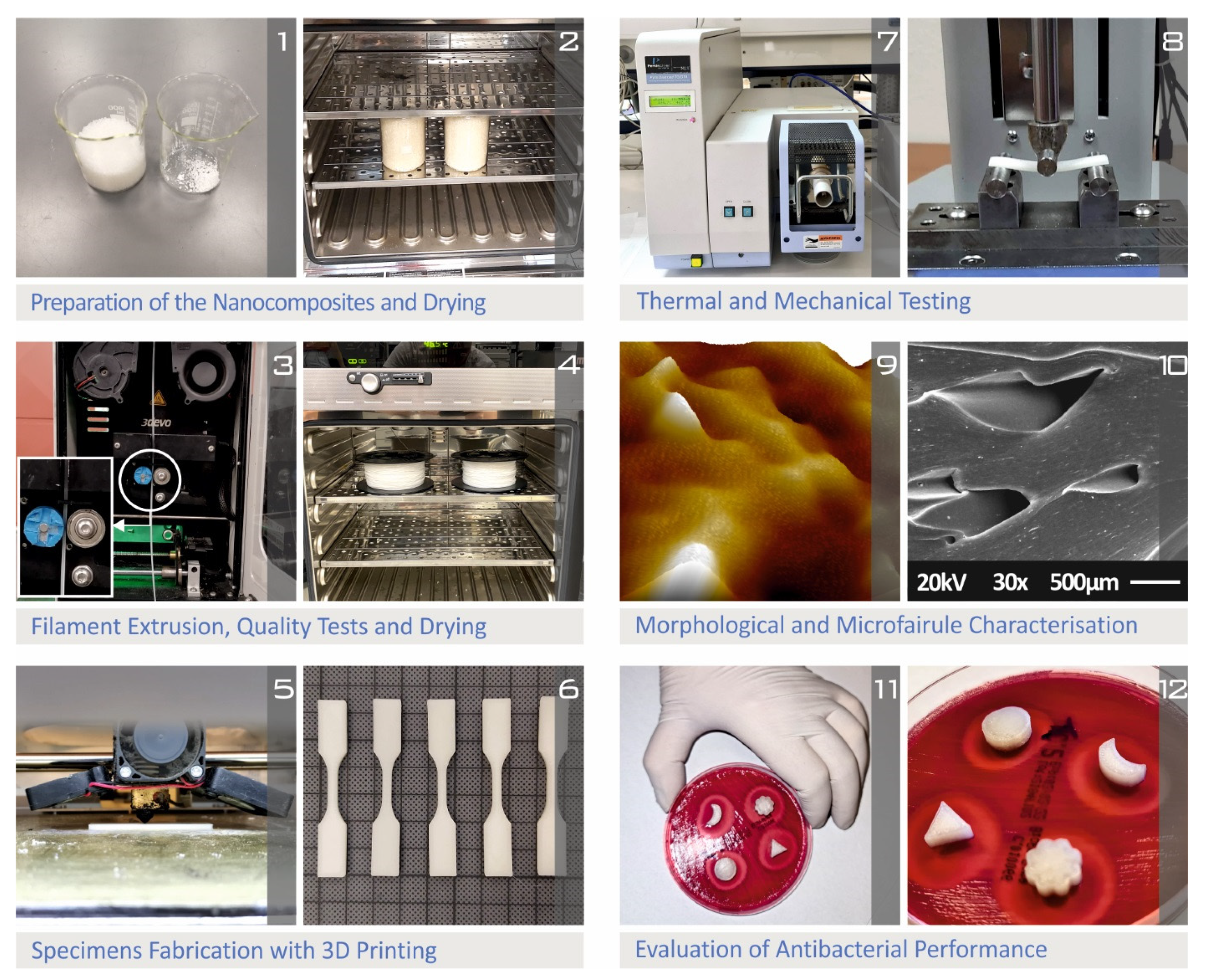 Polymers 14 00440 g001