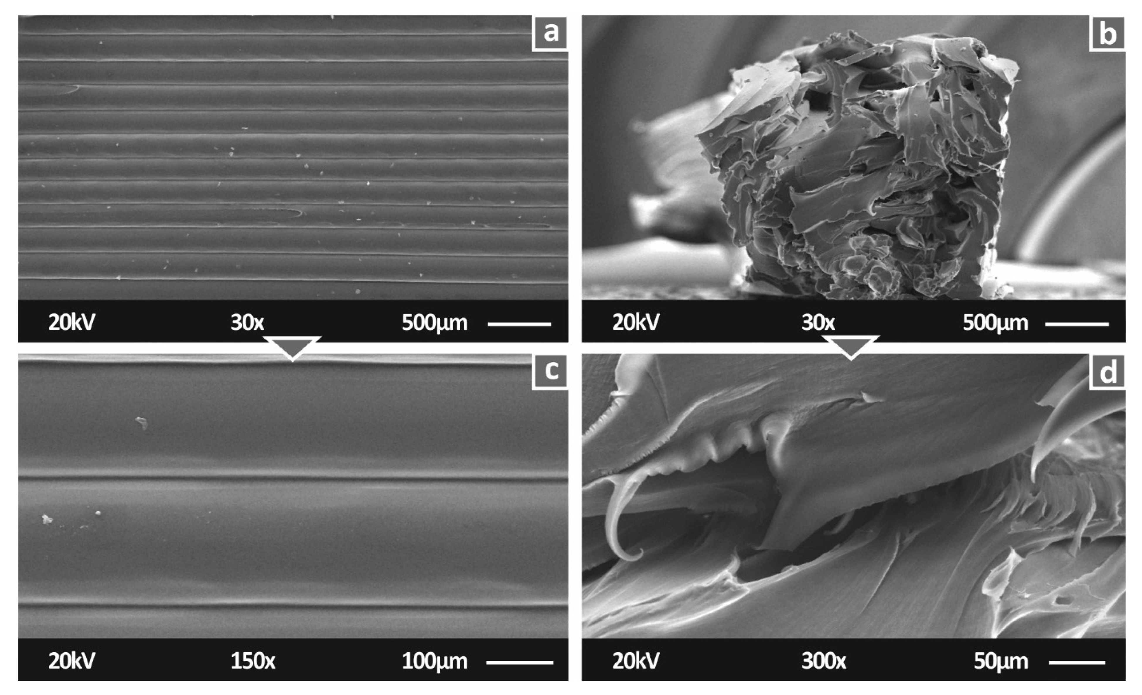 Polymers 14 00440 g007