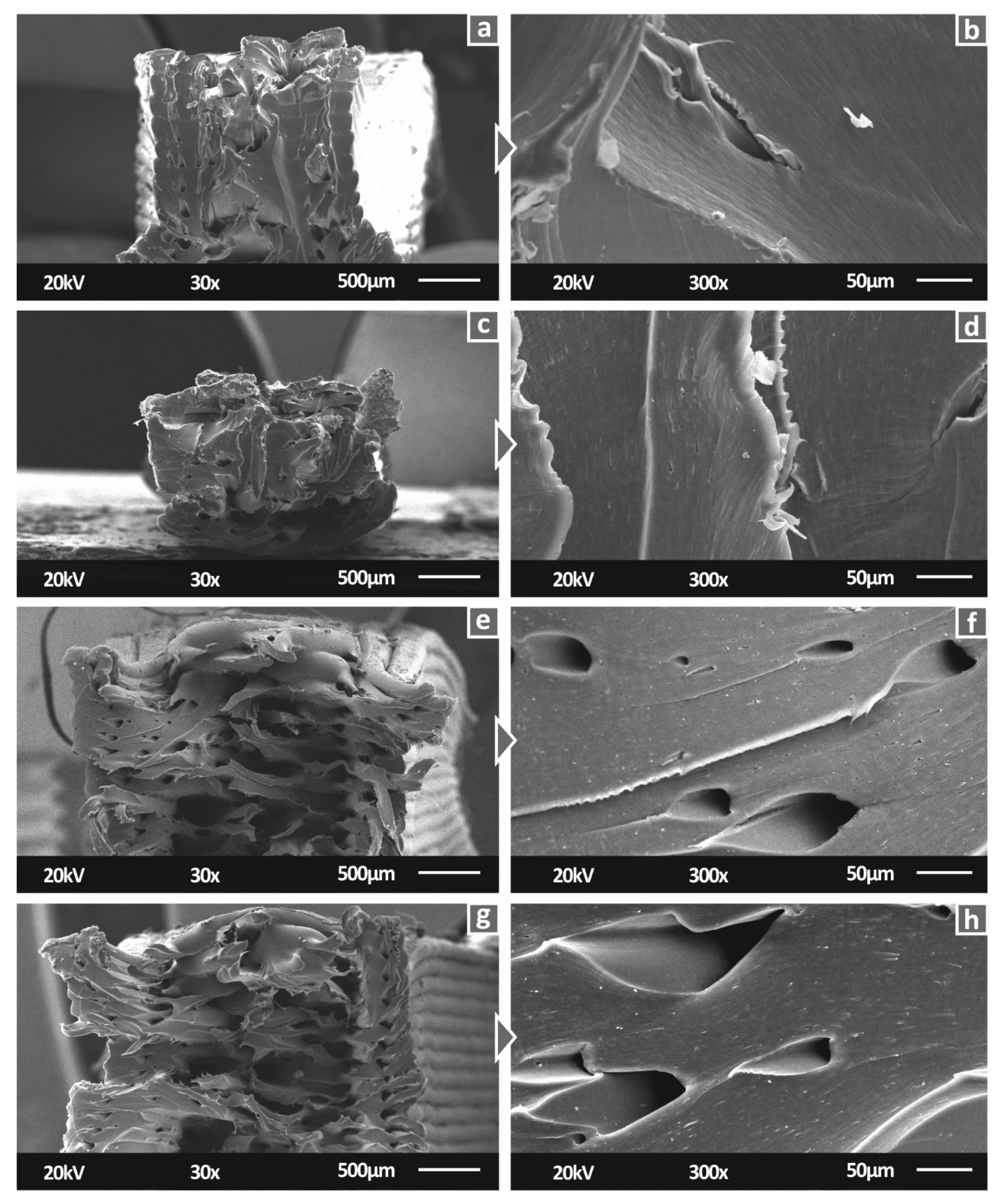 Polymers 14 00440 g009